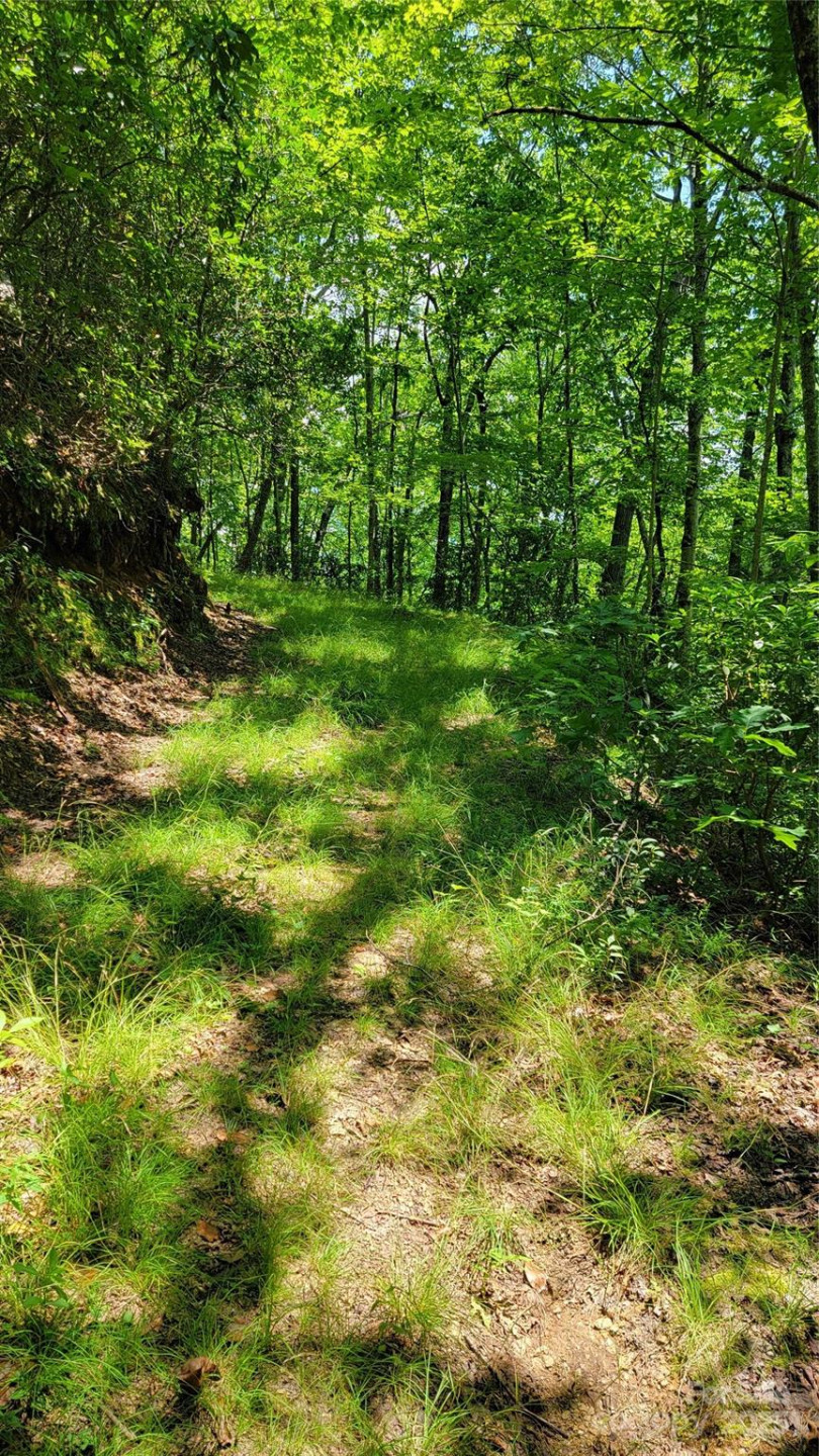 TBD Frozen Creek Road - Photo 22