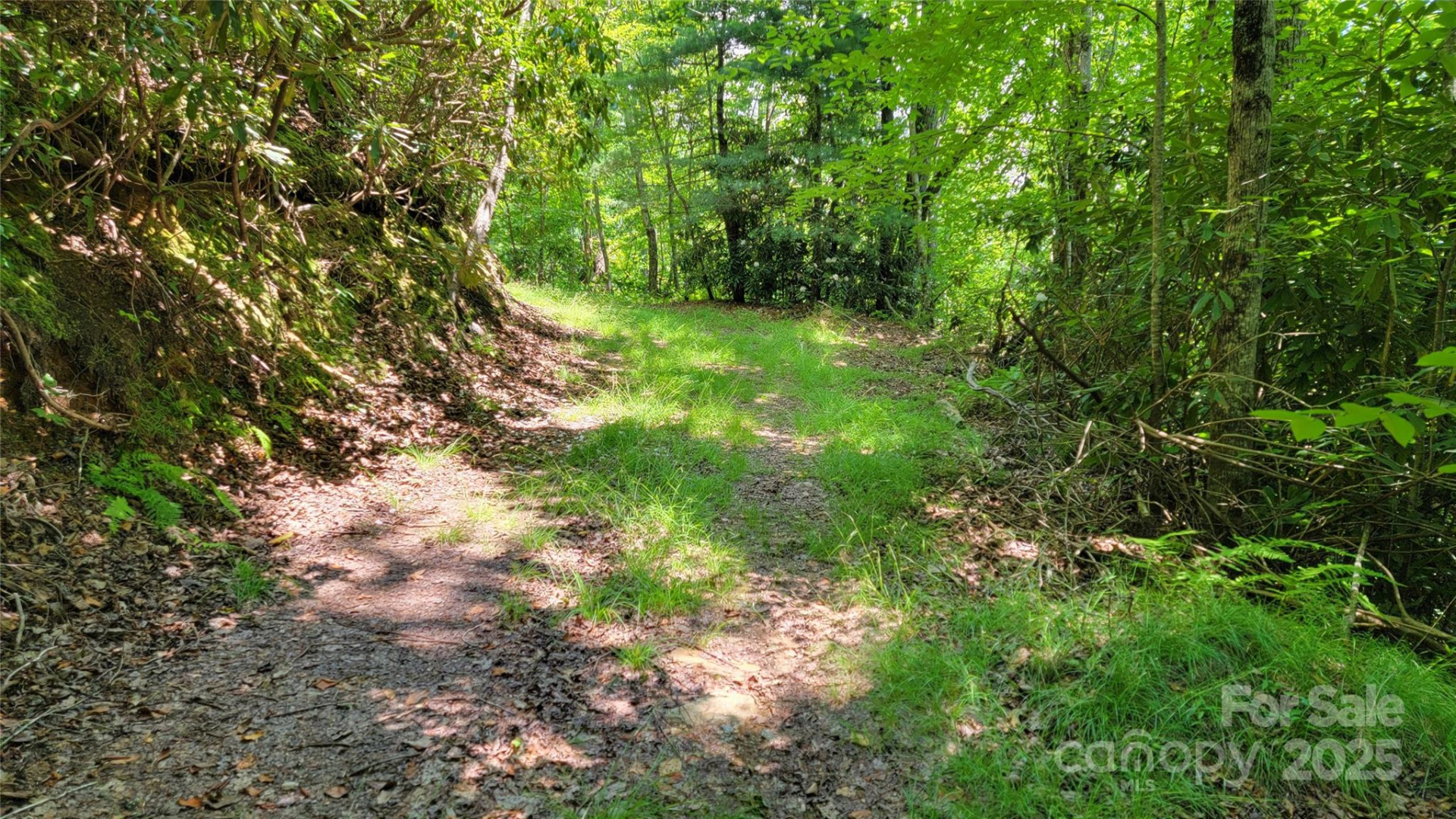 TBD Frozen Creek Road - Photo 23