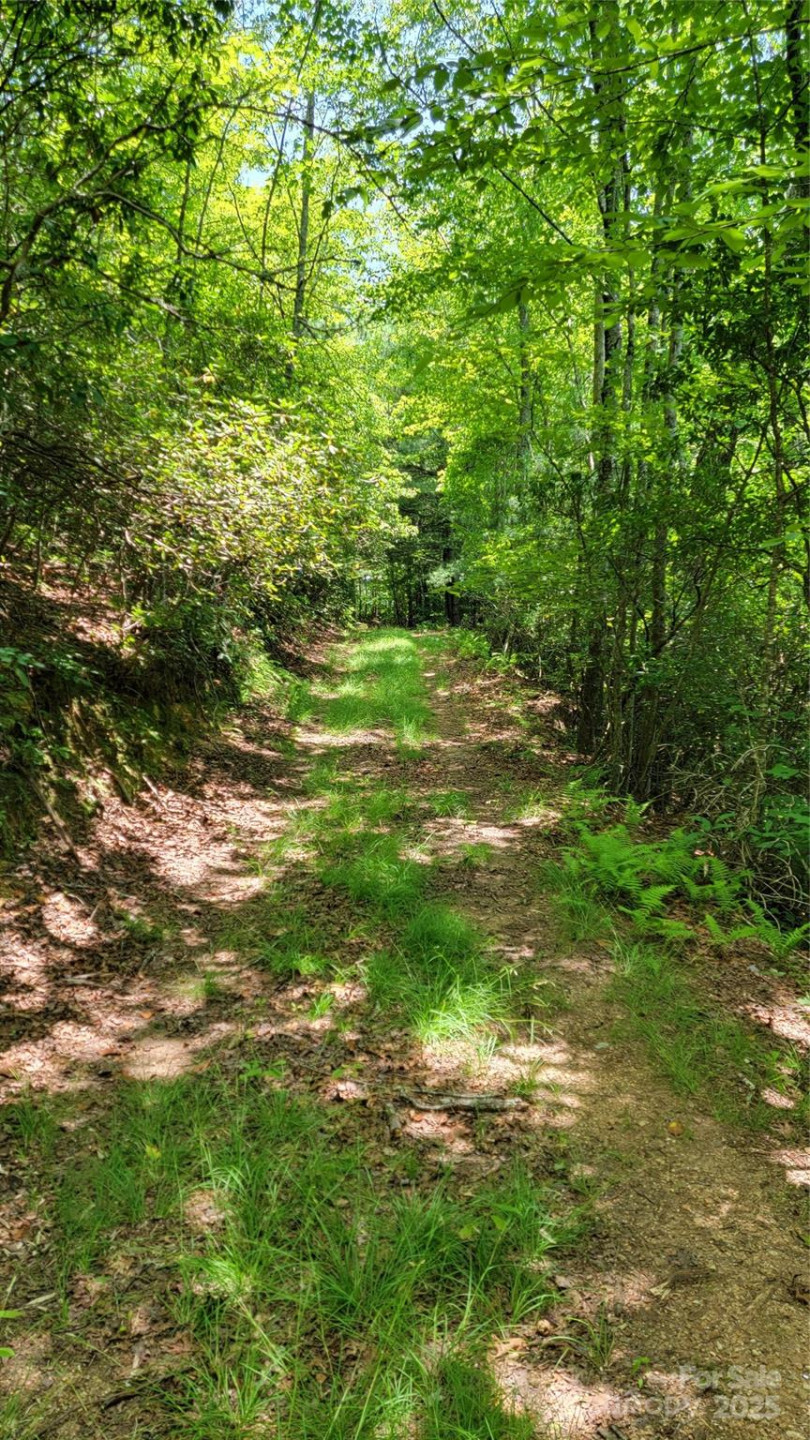 TBD Frozen Creek Road - Photo 24