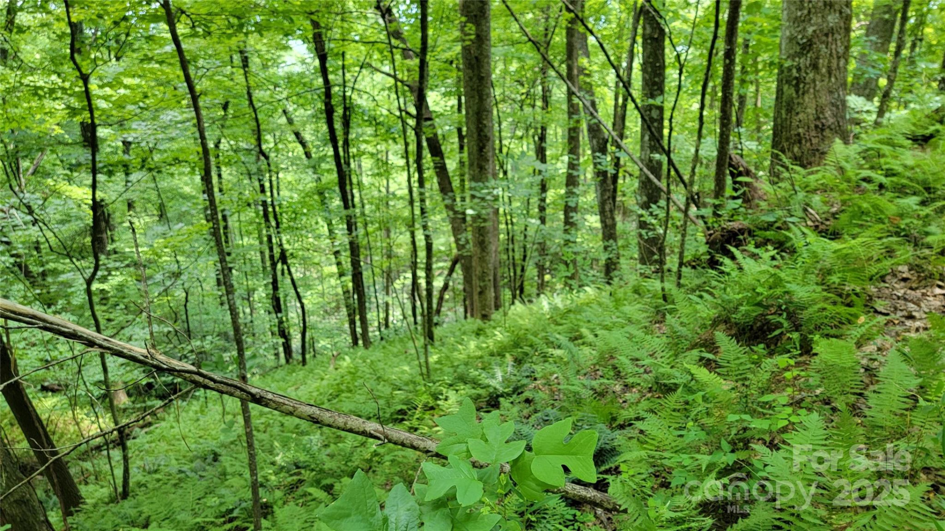 TBD Frozen Creek Road - Photo 26