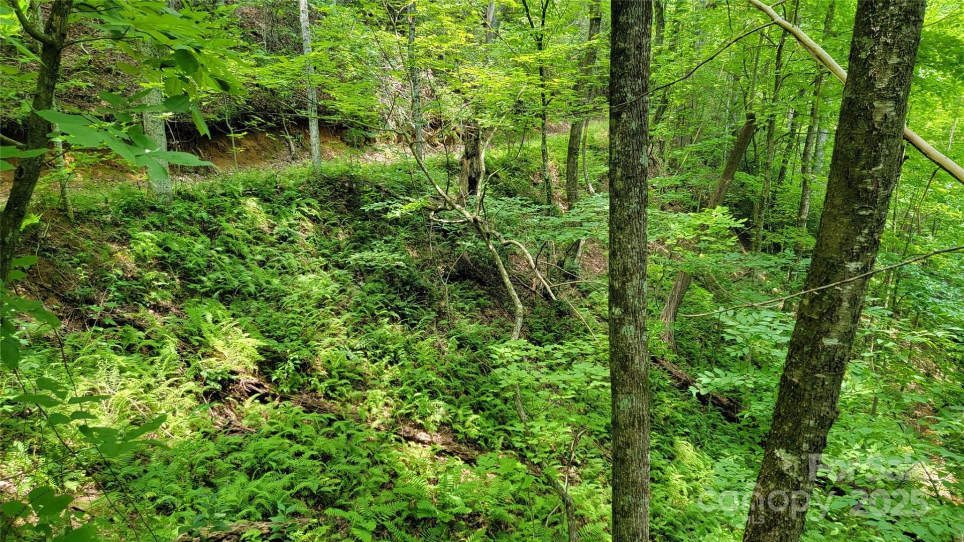 TBD Frozen Creek Road - Photo 27