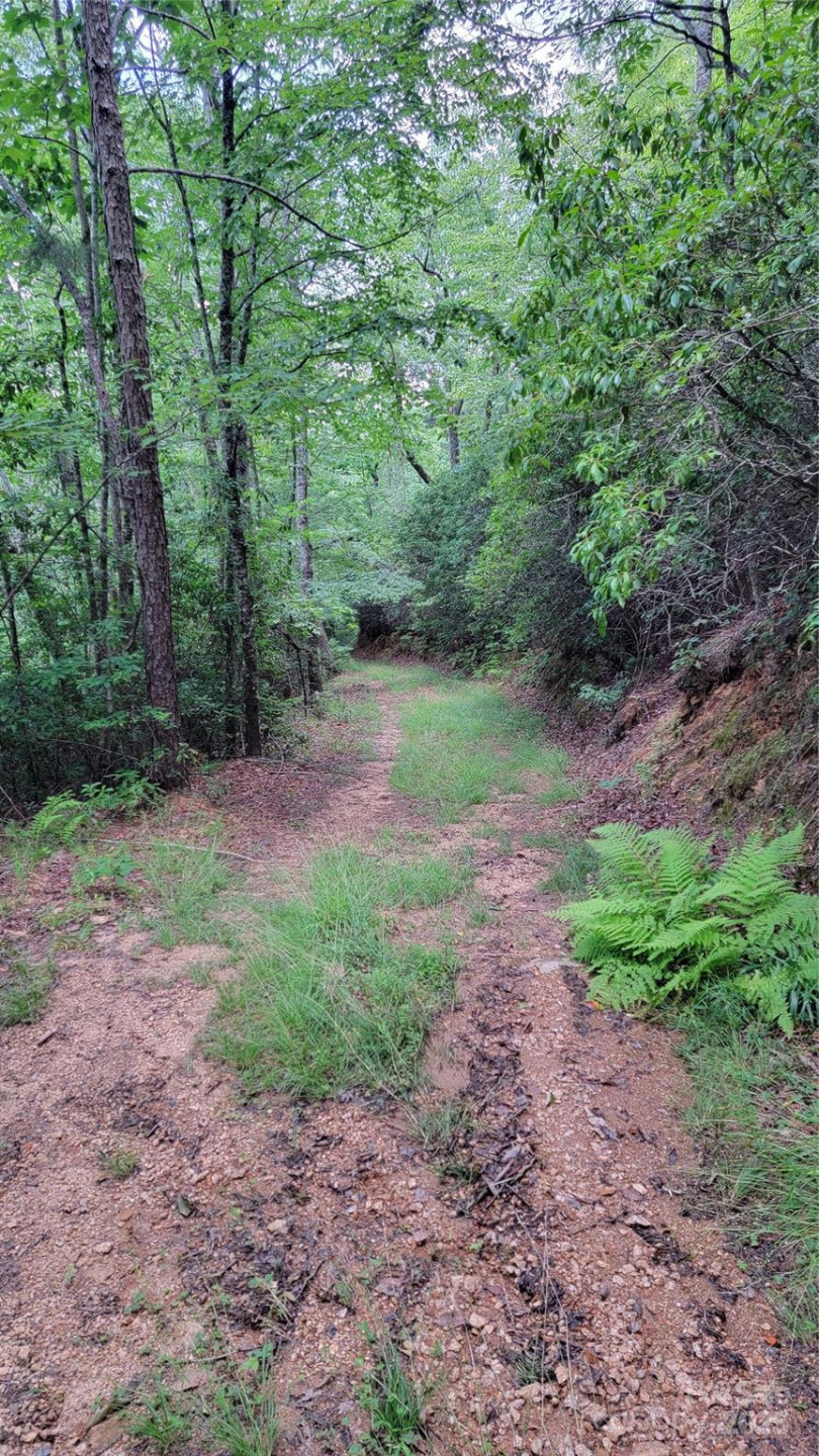 TBD Frozen Creek Road - Photo 29