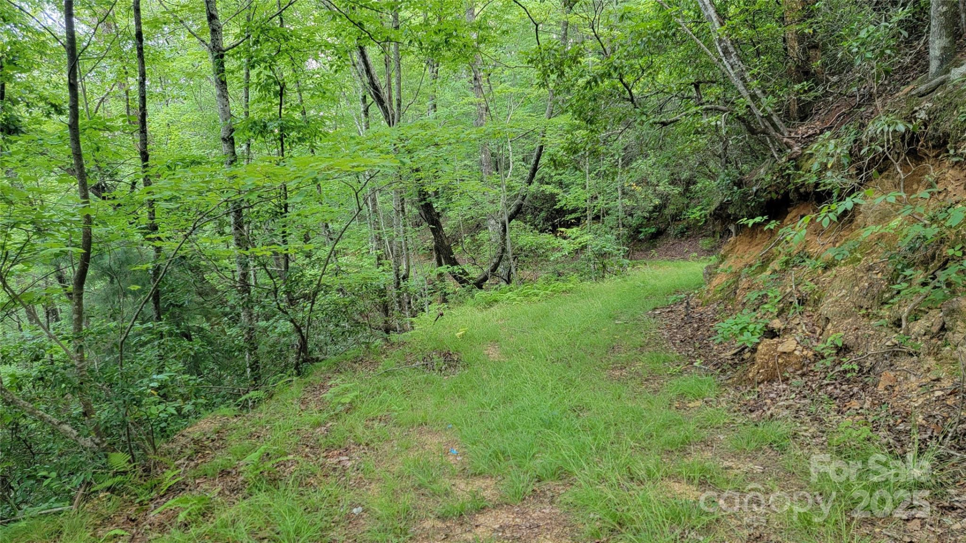 TBD Frozen Creek Road - Photo 30