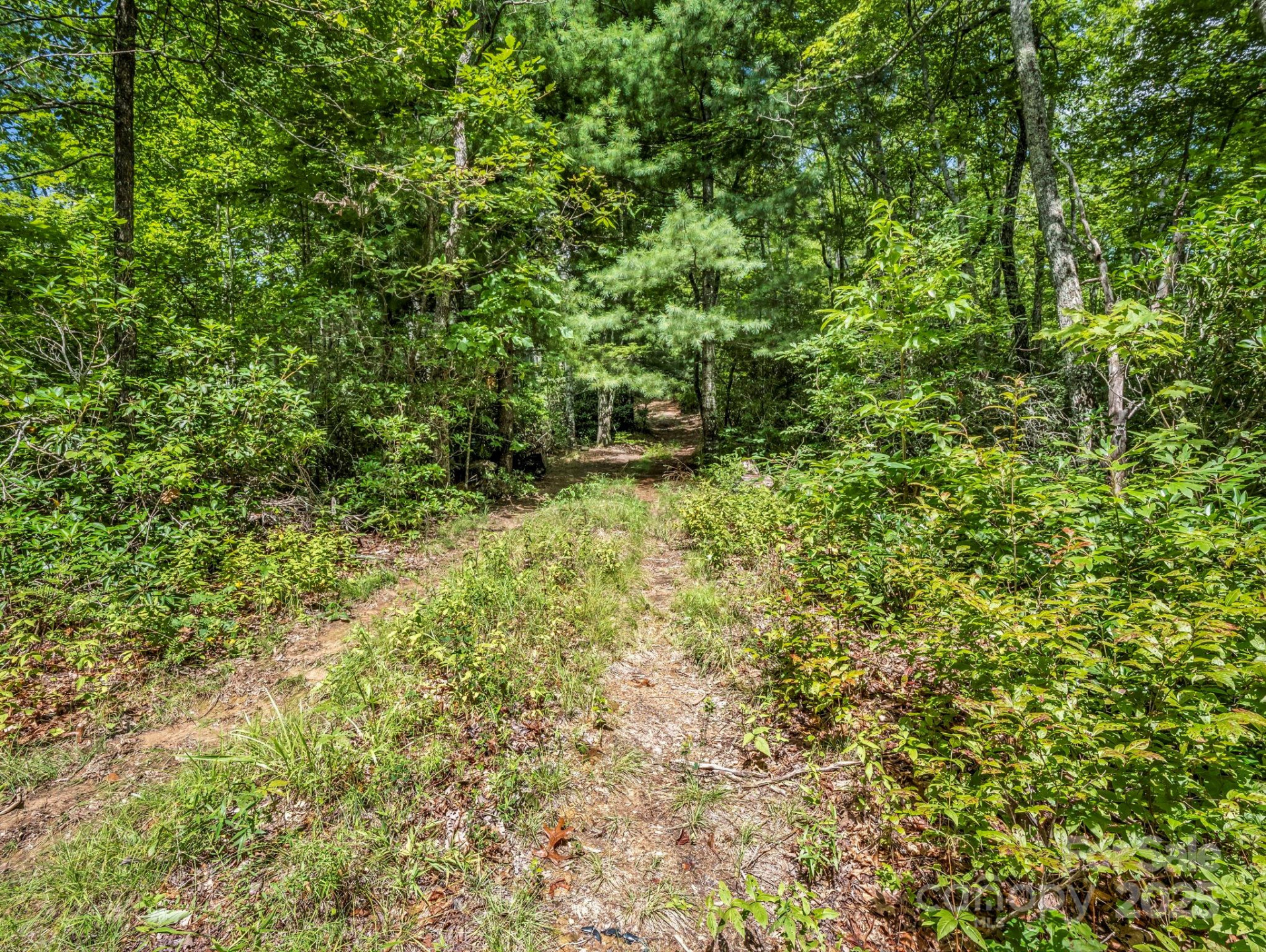 TBD Frozen Creek Road - Photo 5