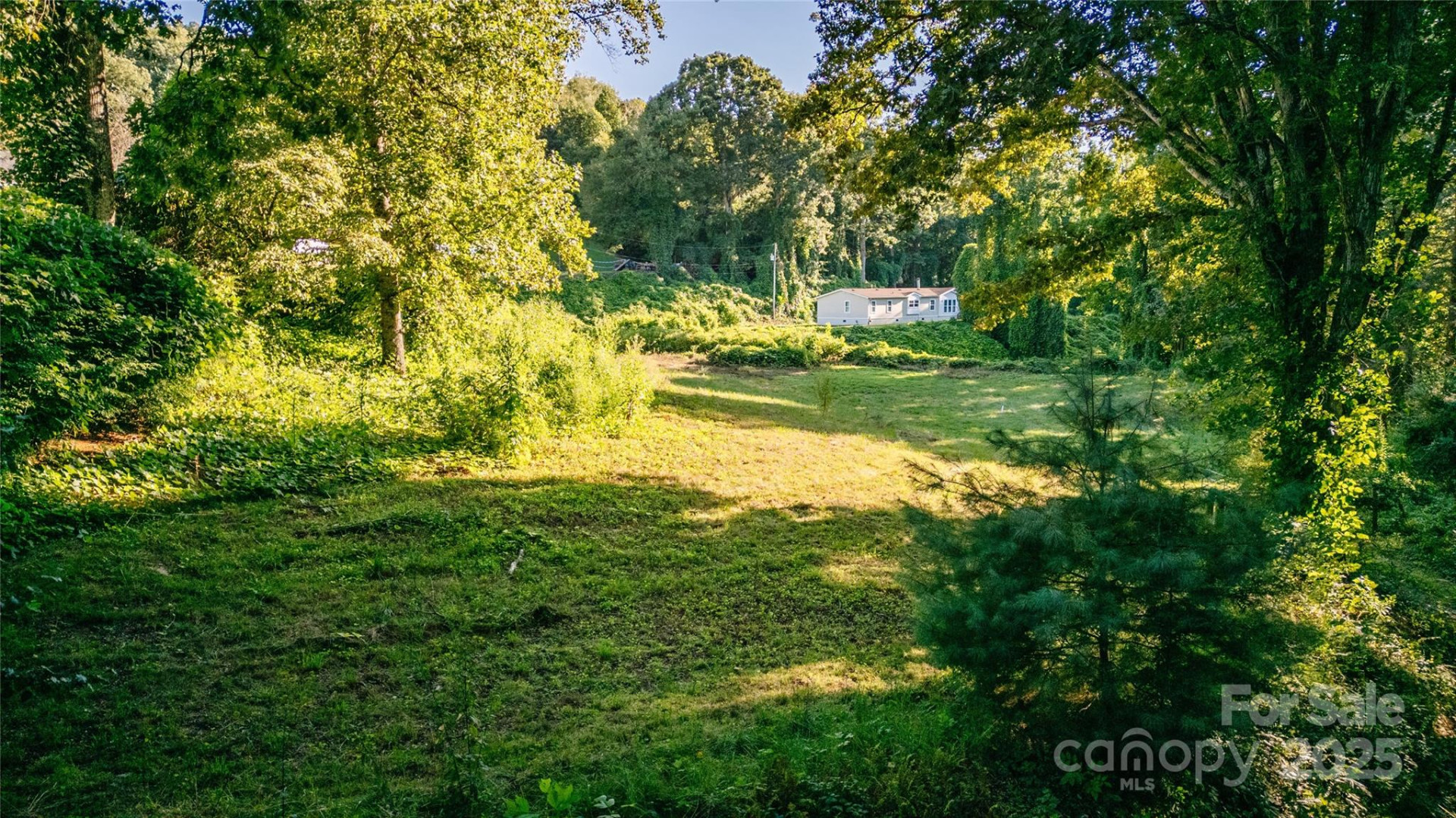 0 Franklin Grove Church Road - Photo 5