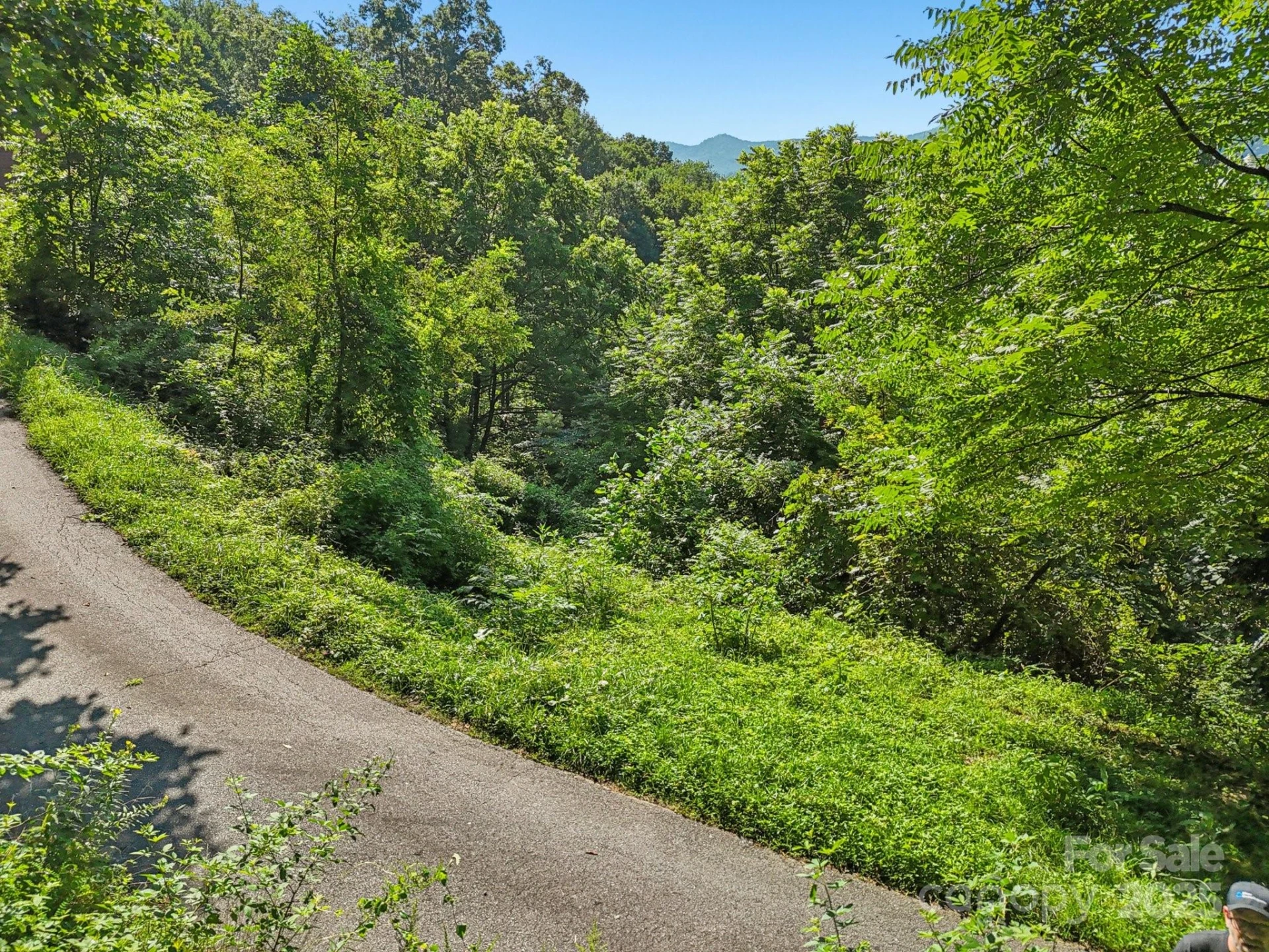 50 Slim Ridge
