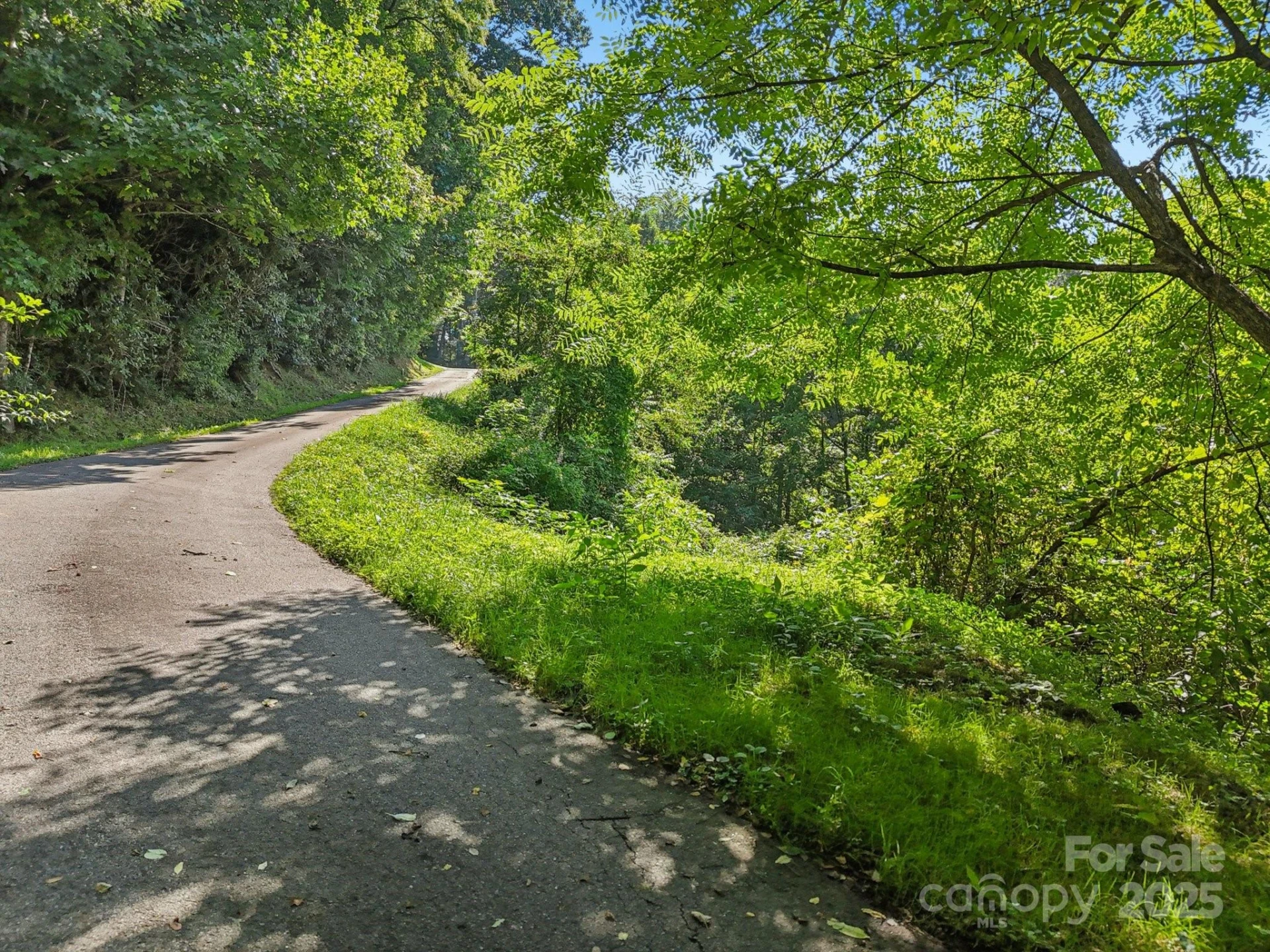 50 Slim Ridge - Photo 3