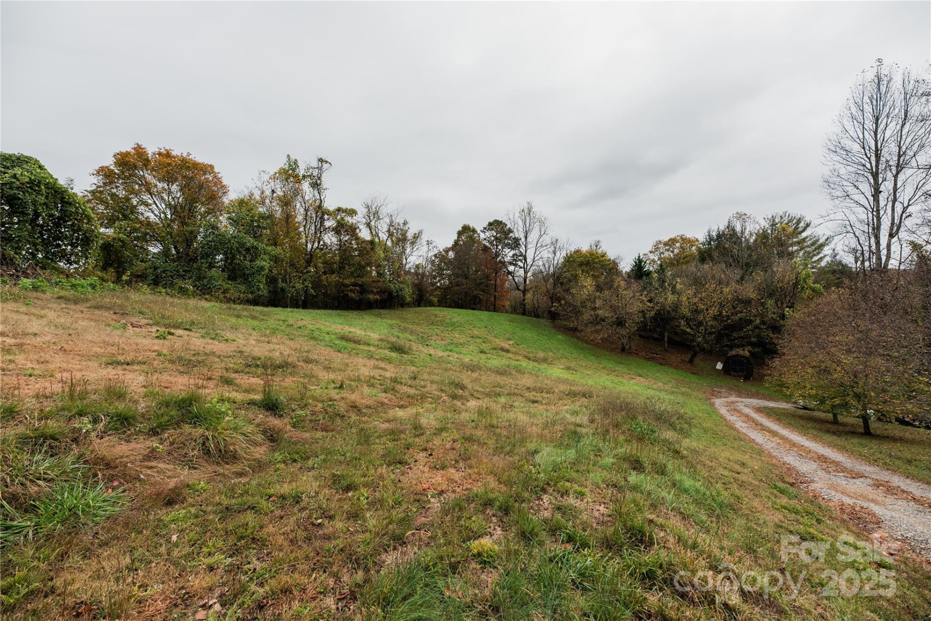 99 Curtis Parker Road - Photo 22