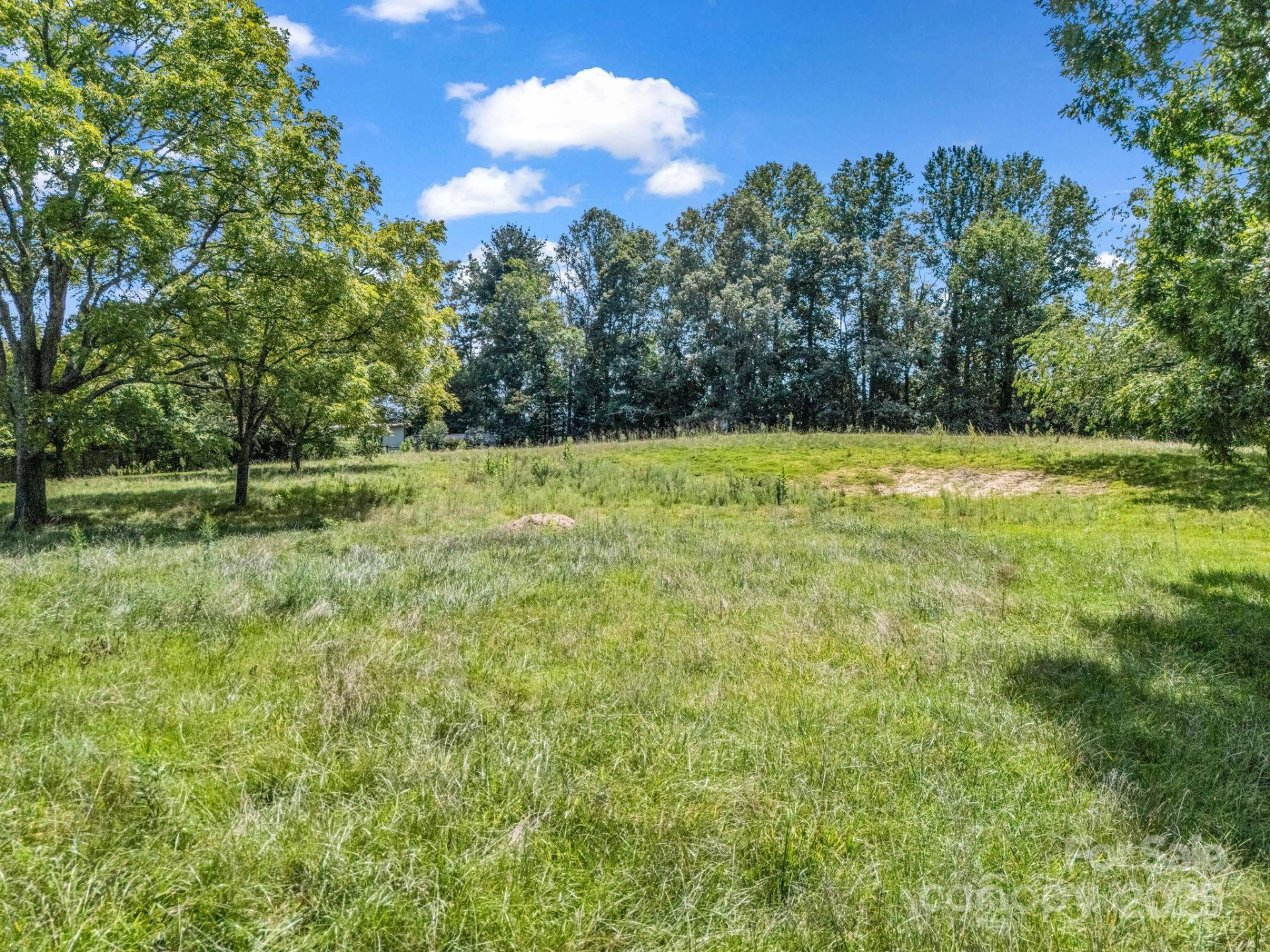 410 Freeman Street - Photo 14