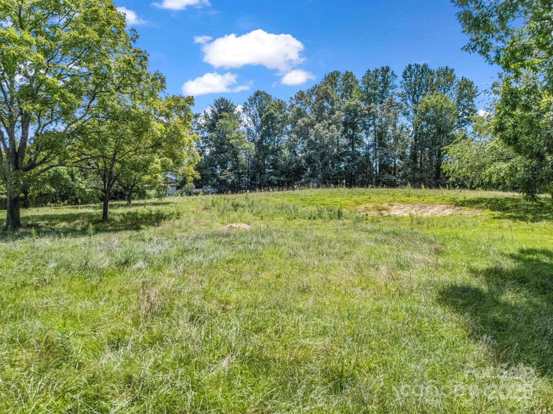 410 Freeman Street - Photo 14