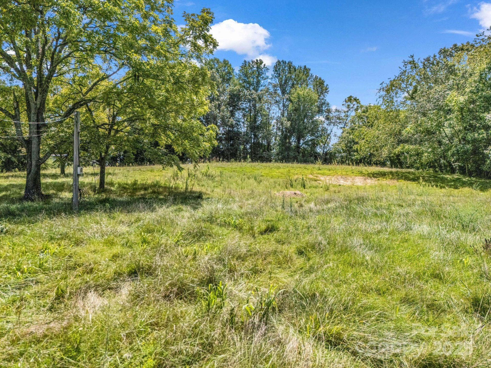 410 Freeman Street - Photo 15