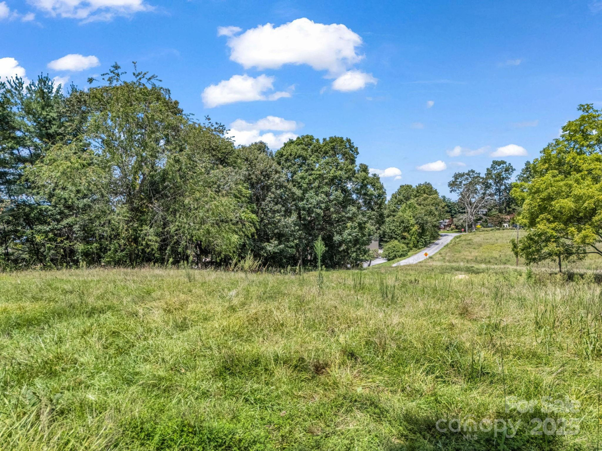 410 Freeman Street - Photo 12