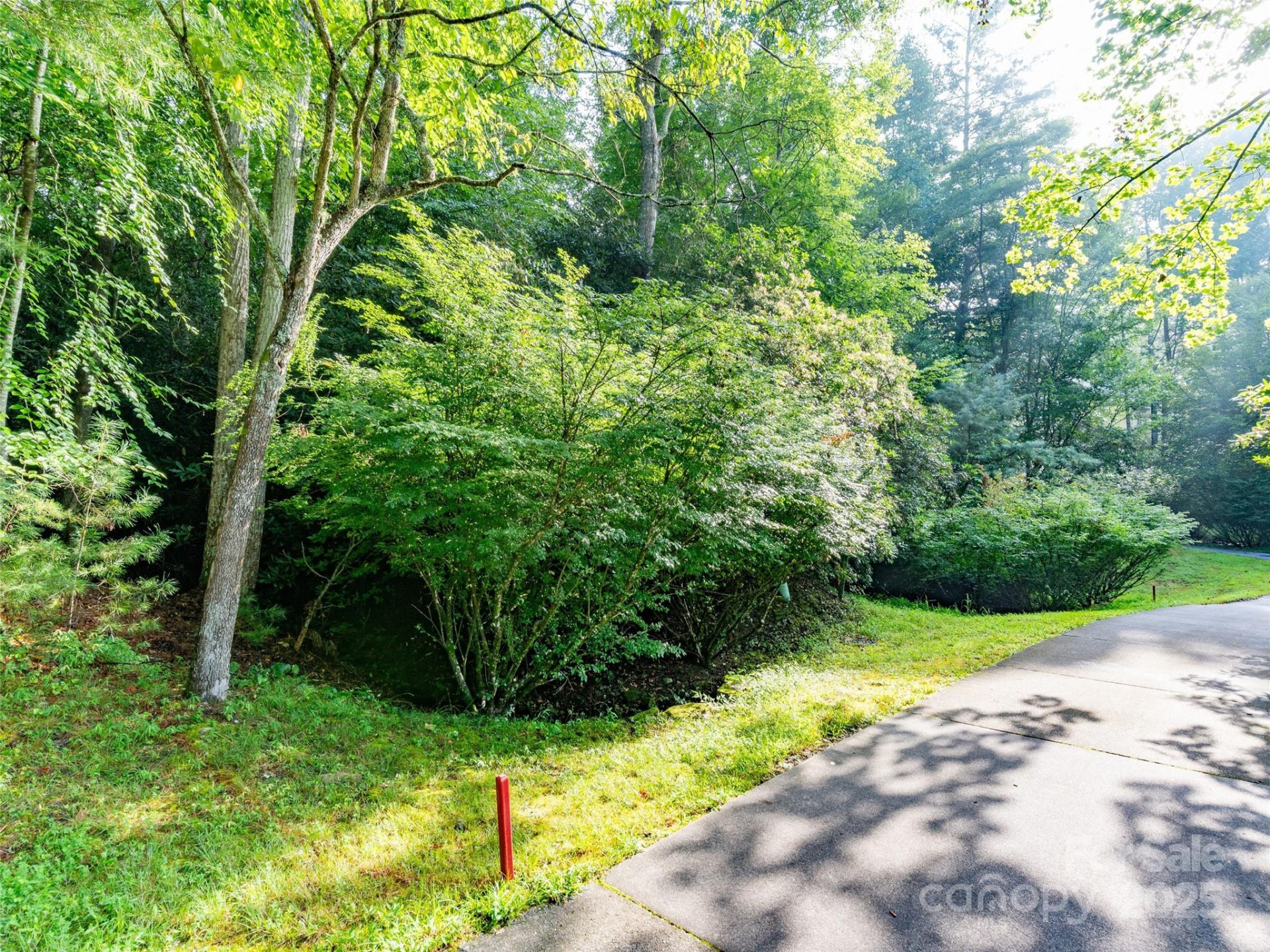 153 Chattooga Run #228 - Photo 3