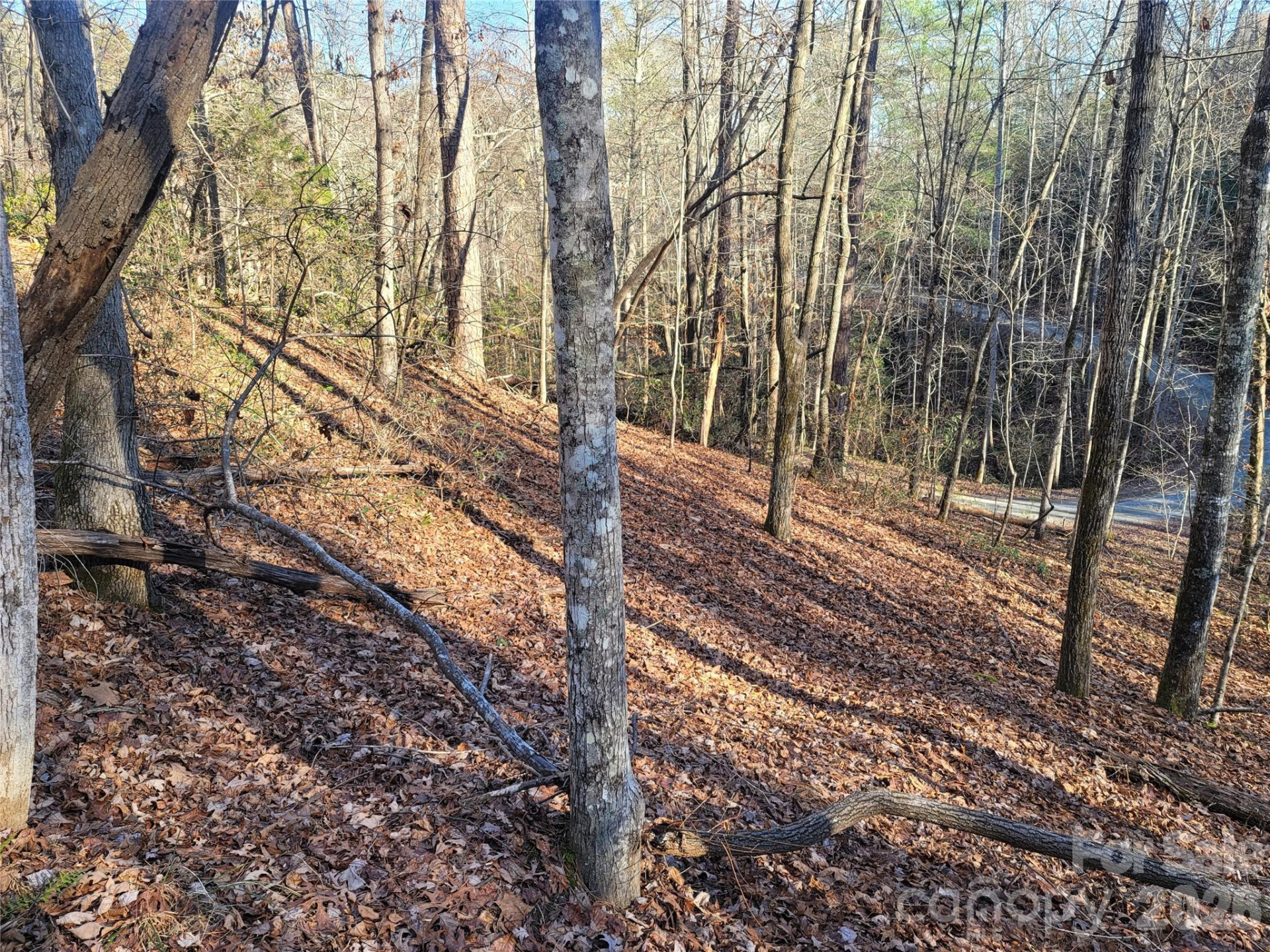 Lot 140 Rainbow Circle - Photo 11