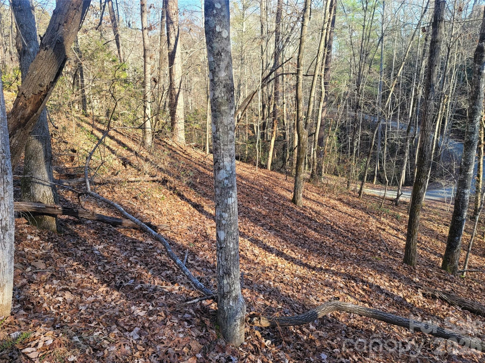 Lot 140 Rainbow Circle - Photo 11