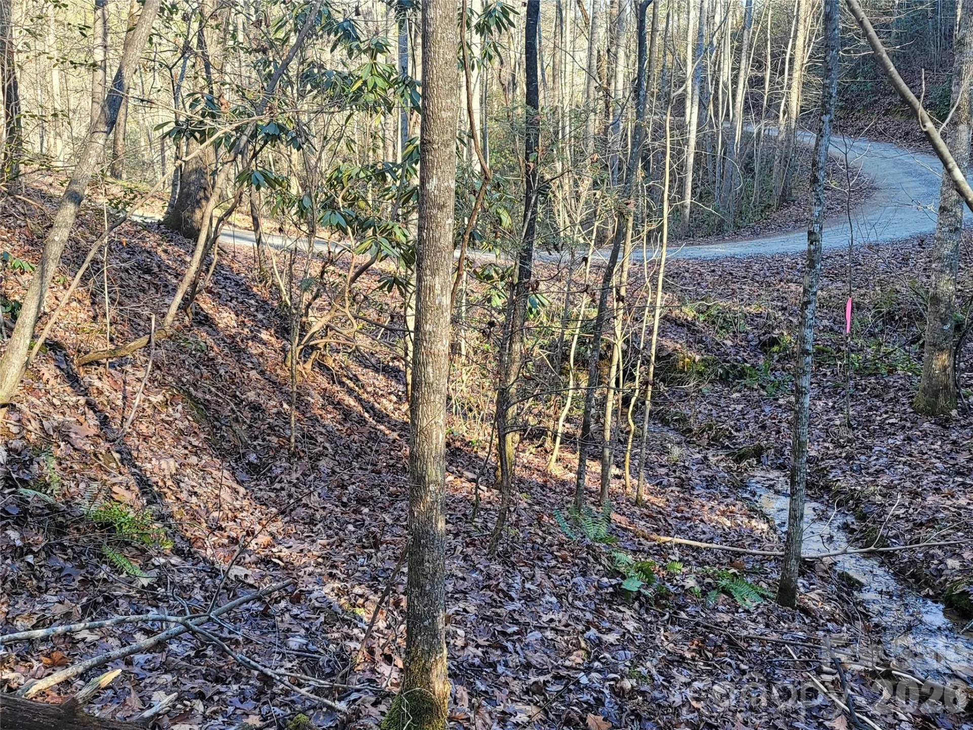 Lot 140 Rainbow Circle - Photo 13