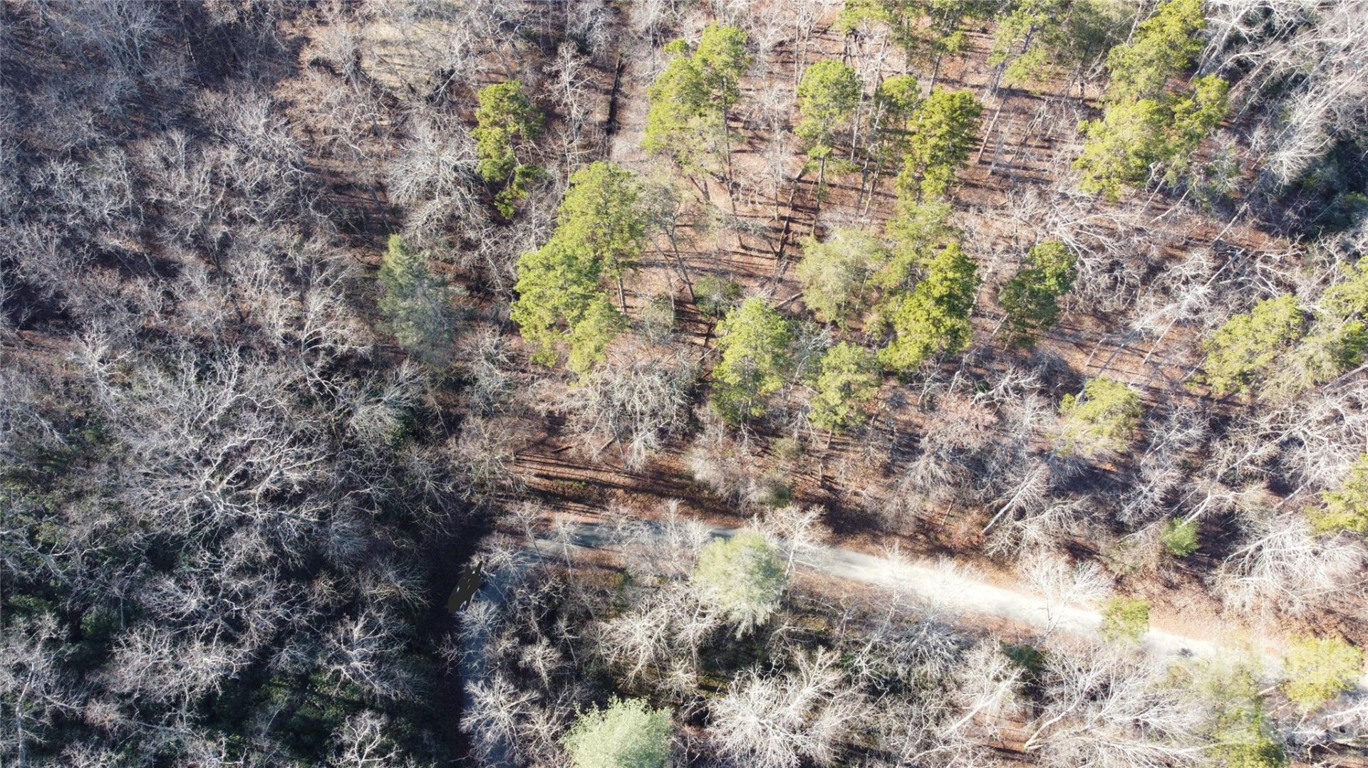 Lot 140 Rainbow Circle - Photo 16