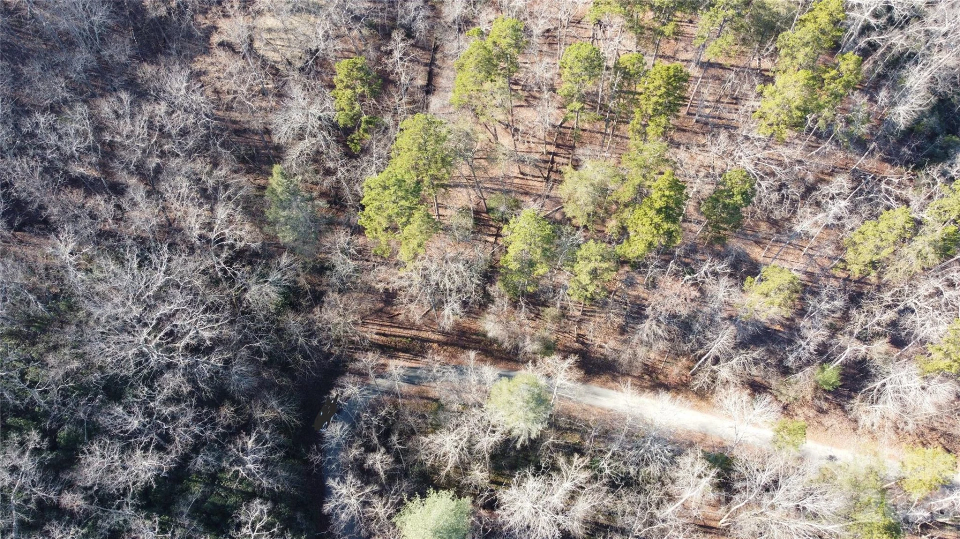 Lot 140 Rainbow Circle - Photo 16