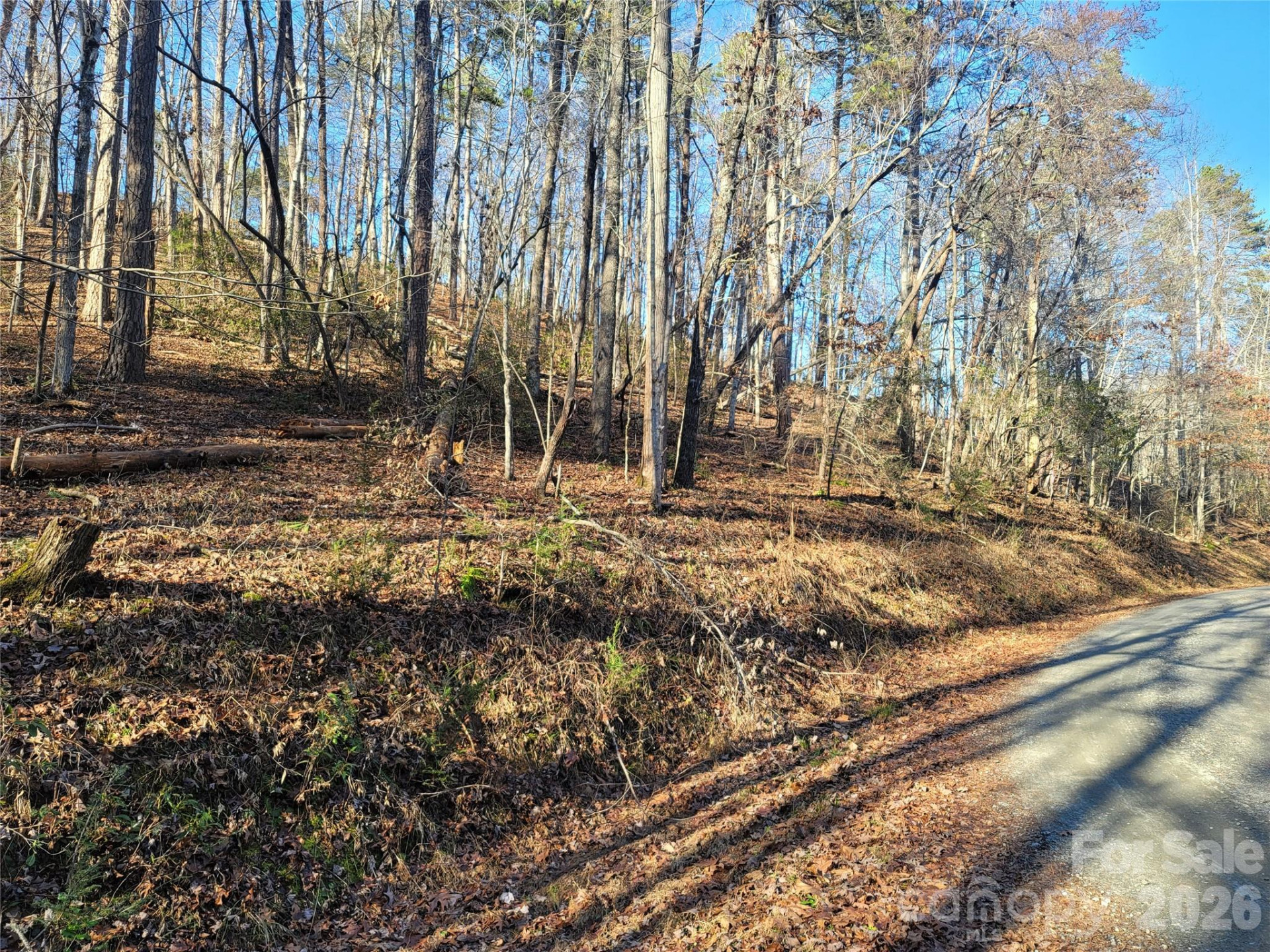 Lot 140 Rainbow Circle - Photo 4