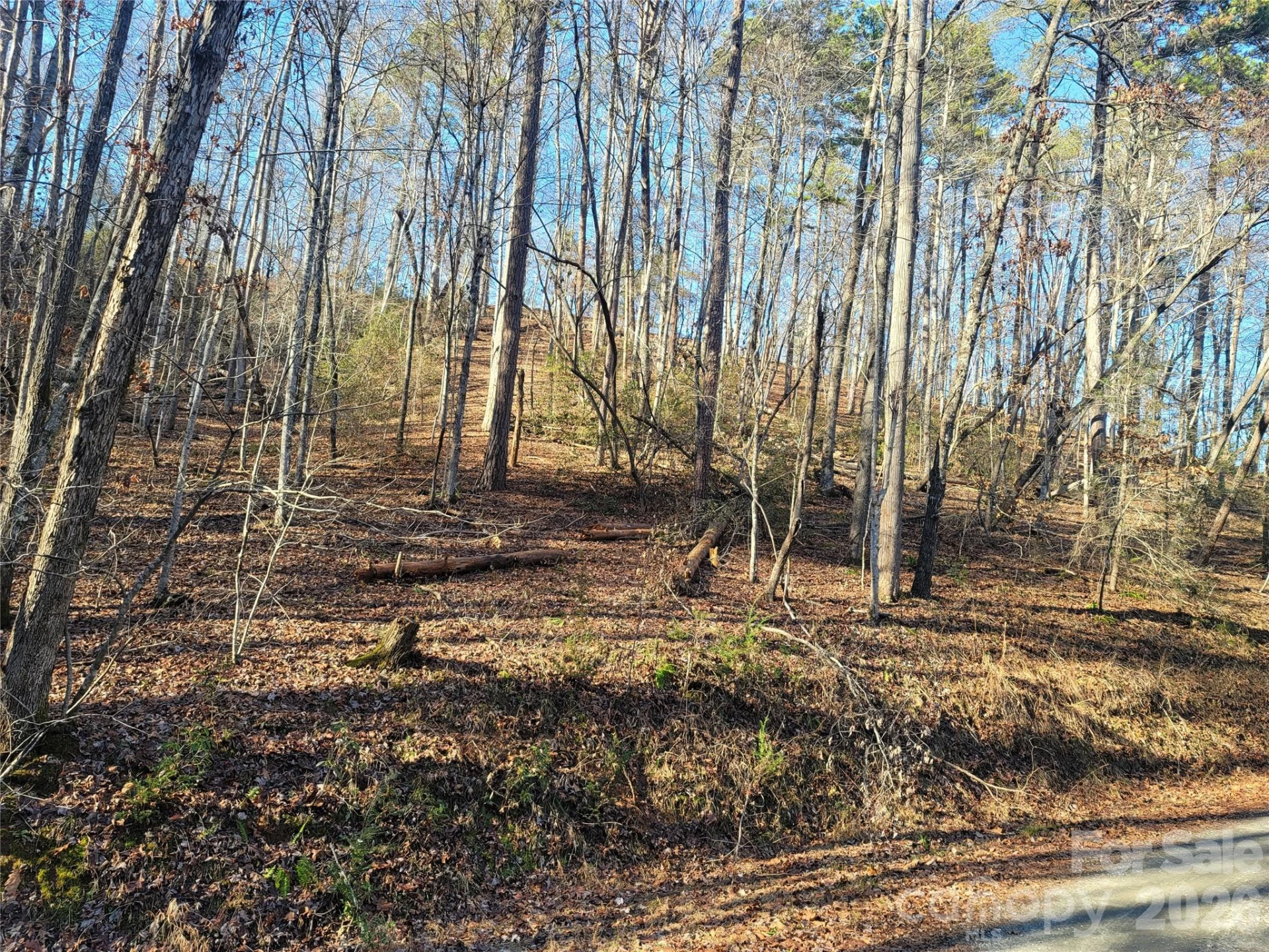 Lot 140 Rainbow Circle - Photo 10