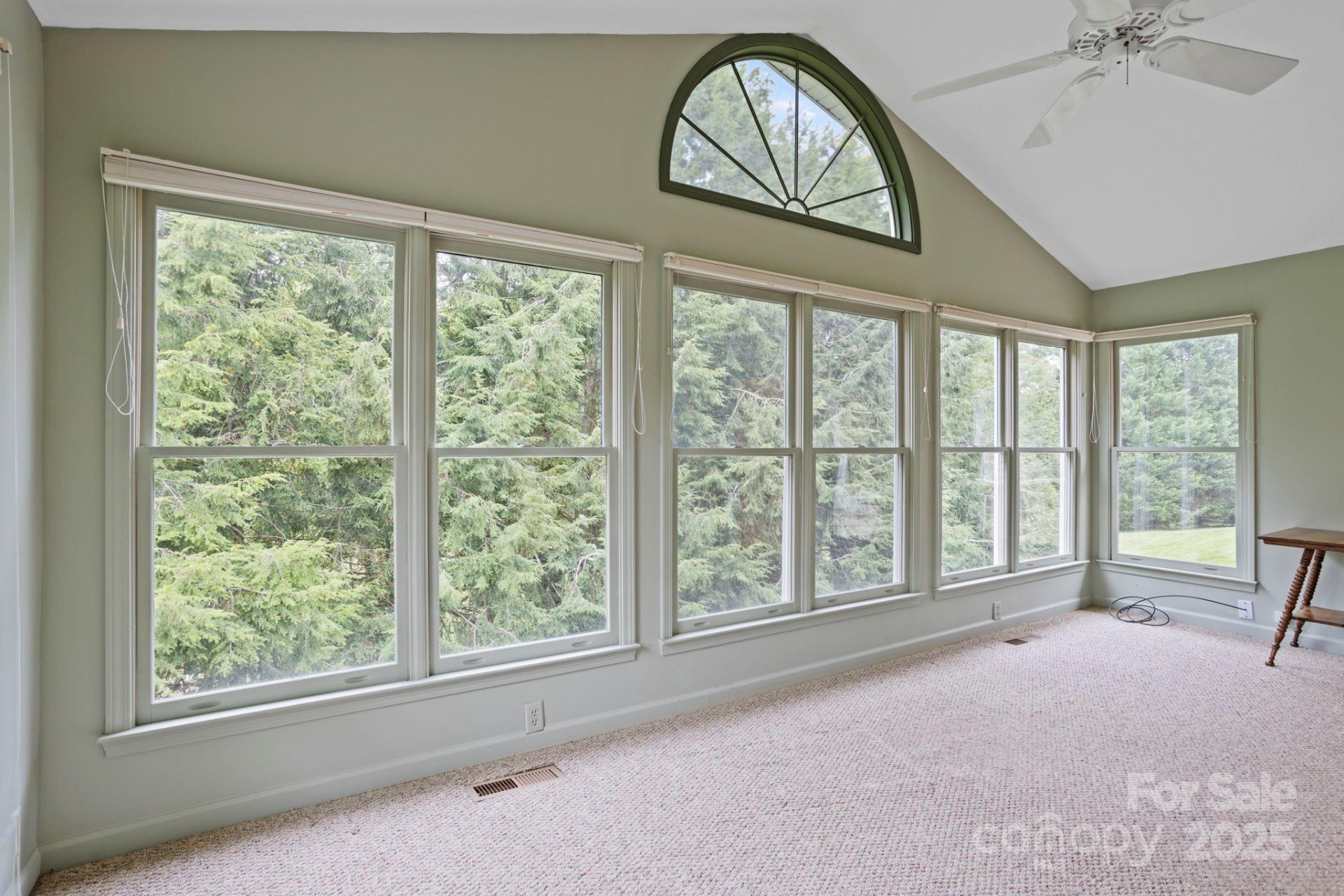 1007 Saddlebrook Drive - Photo 12