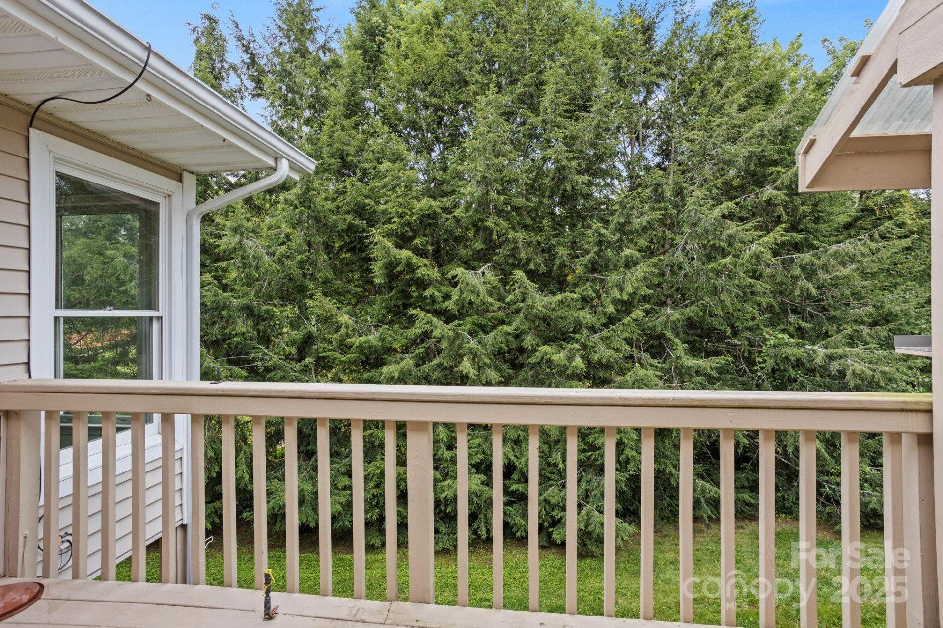 1007 Saddlebrook Drive - Photo 14