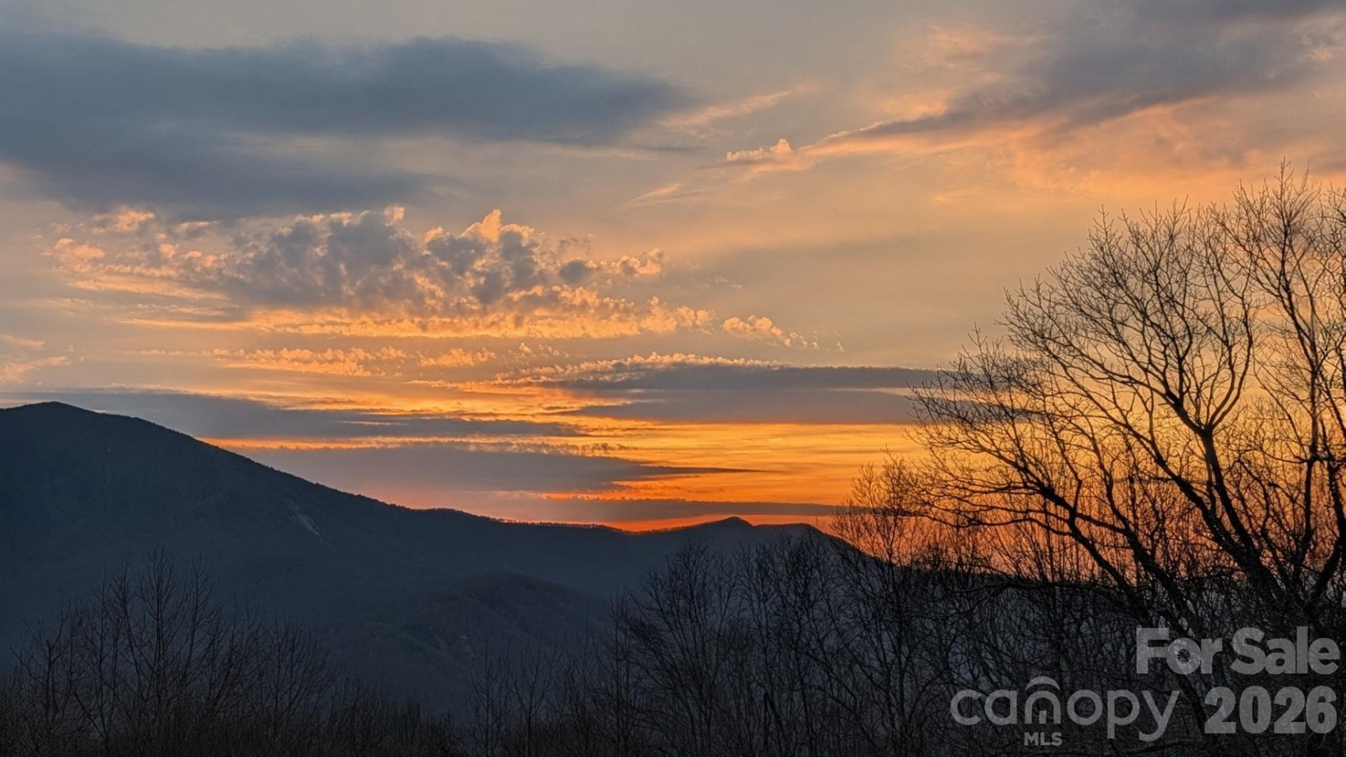 1856 Cabbage Patch Road - Photo 3