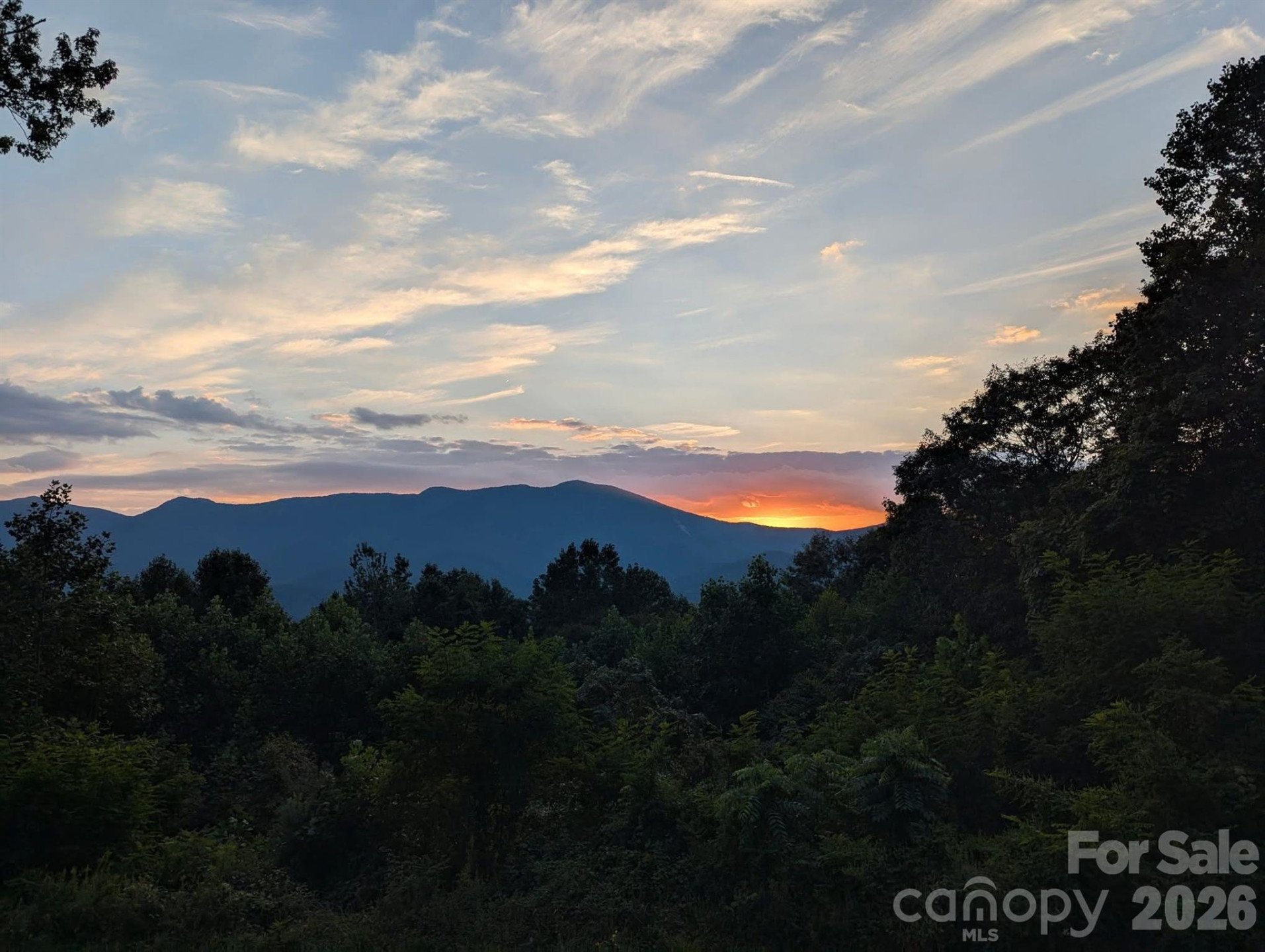 1856 Cabbage Patch Road - Photo 45