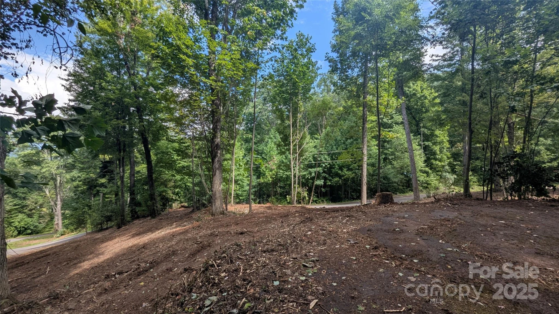 00 Apple Tree Court #1