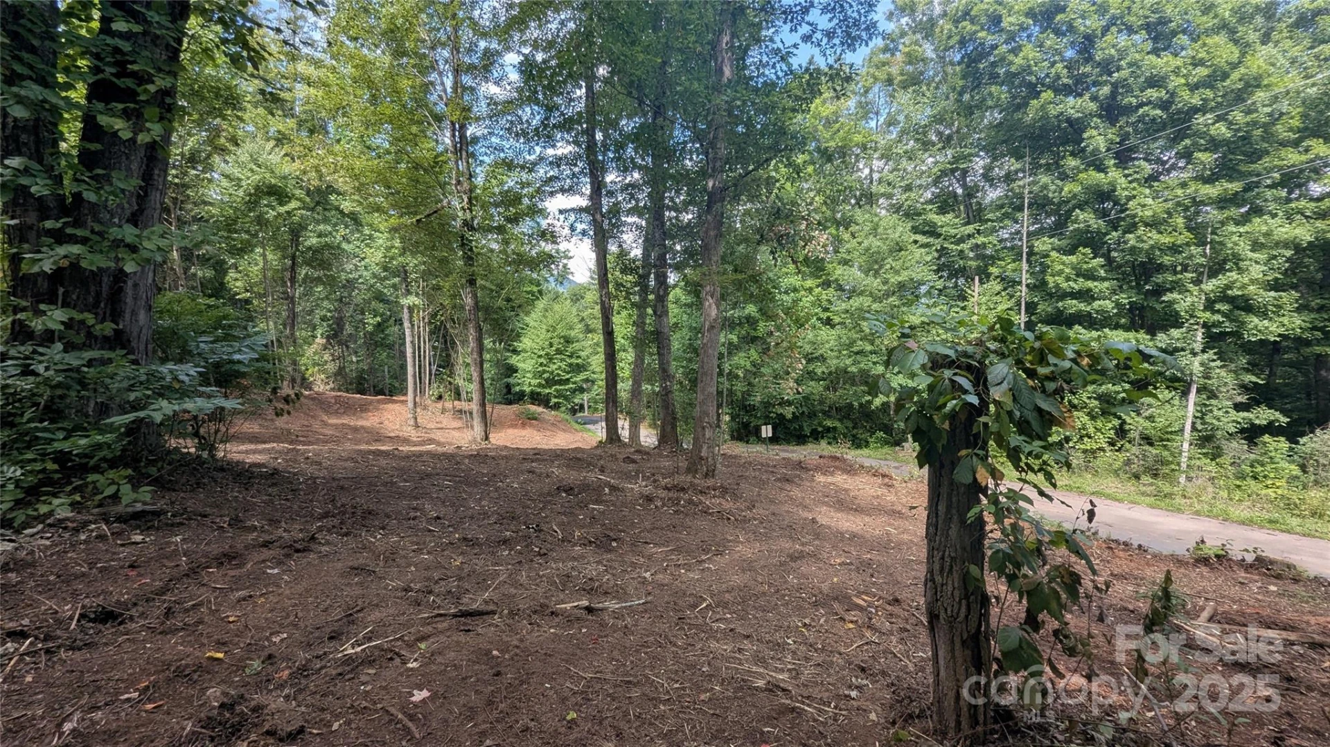 00 Apple Tree Court #1 - Photo 2