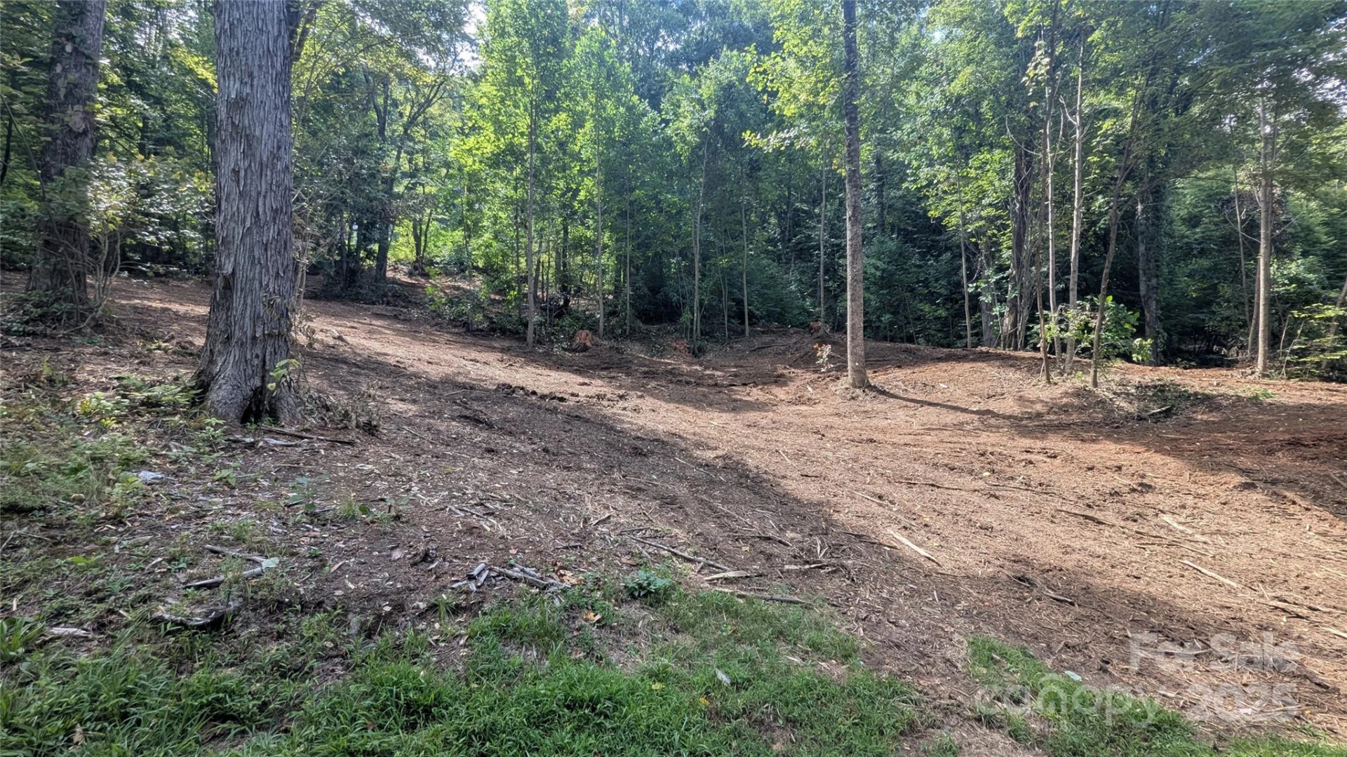 00 Apple Tree Court #1 - Photo 11