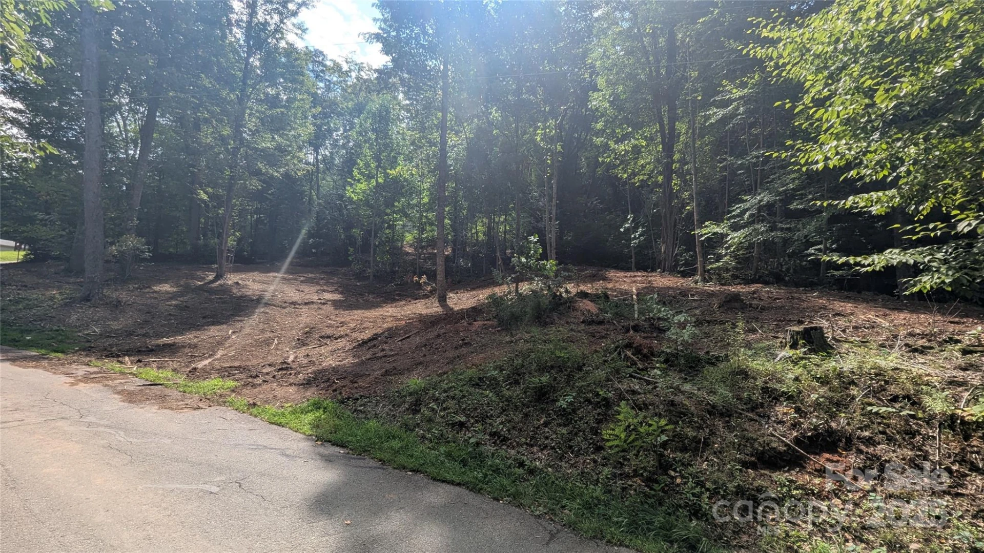 00 Apple Tree Court #1 - Photo 12