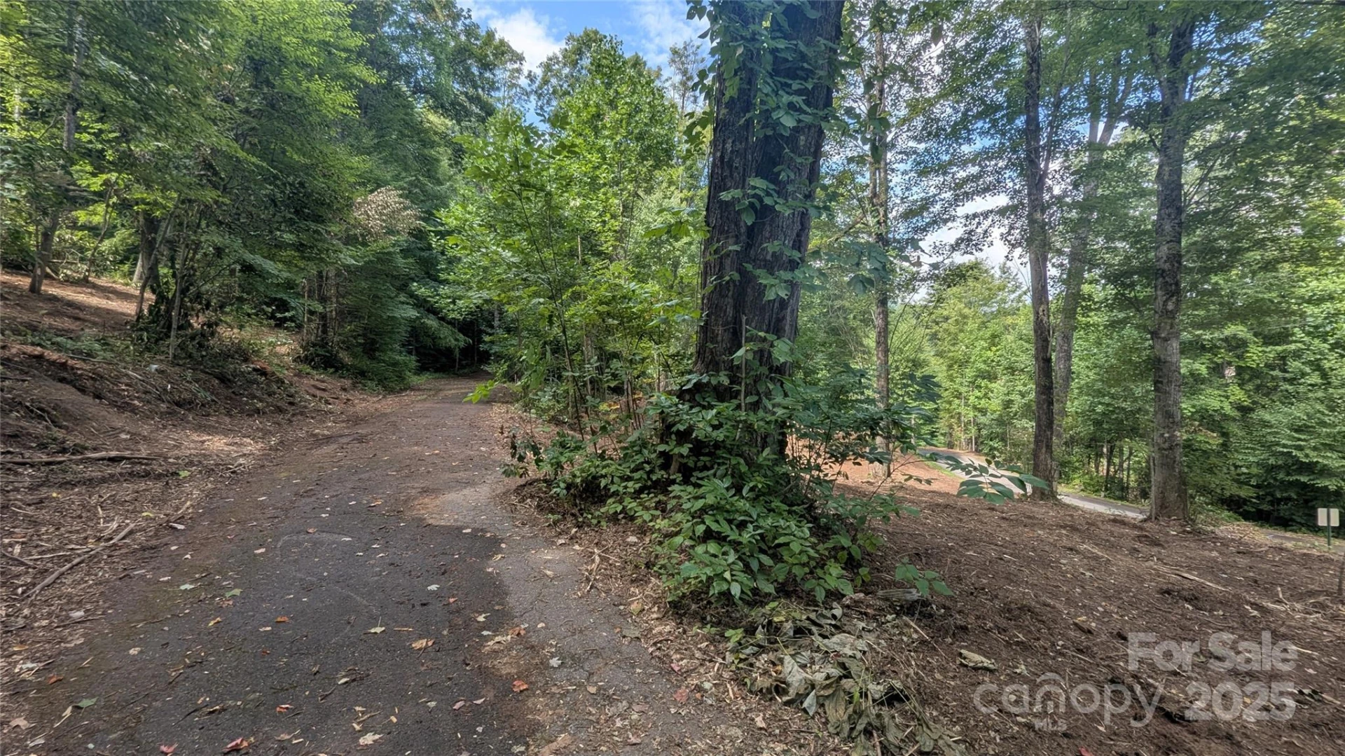 00 Apple Tree Court #1 - Photo 3