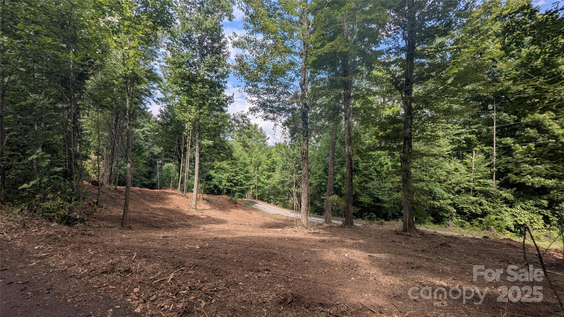 00 Apple Tree Court #1 - Photo 4