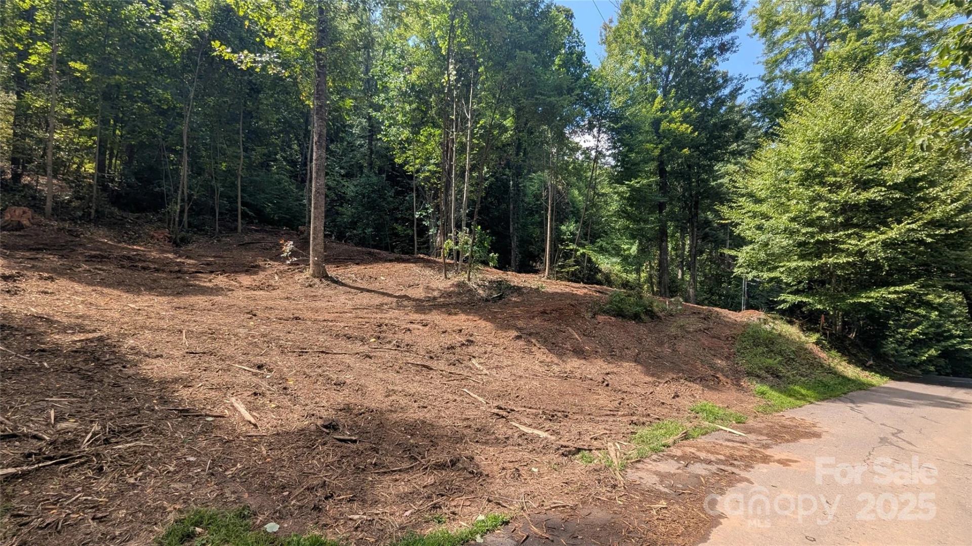 00 Apple Tree Court #1 - Photo 6