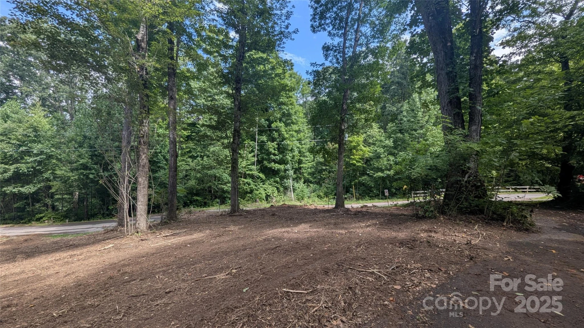 00 Apple Tree Court #1 - Photo 8