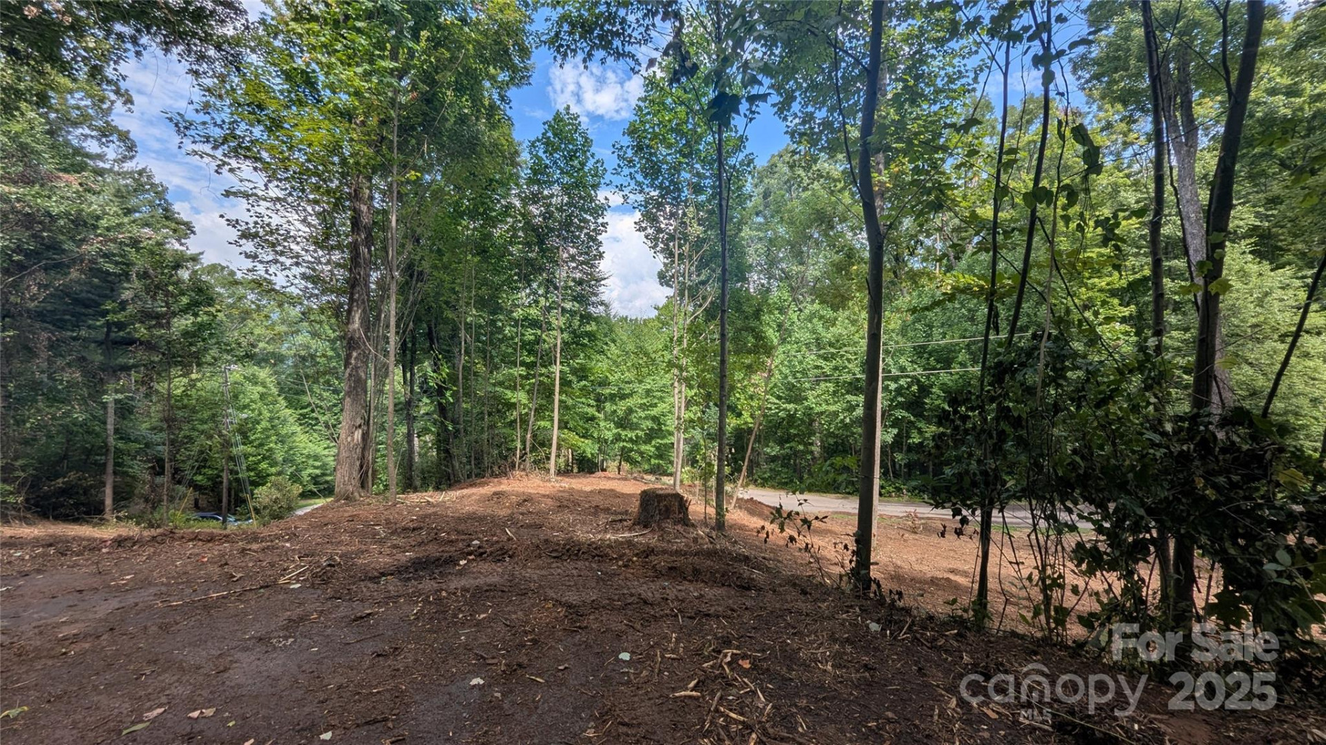 00 Apple Tree Court #1 - Photo 9