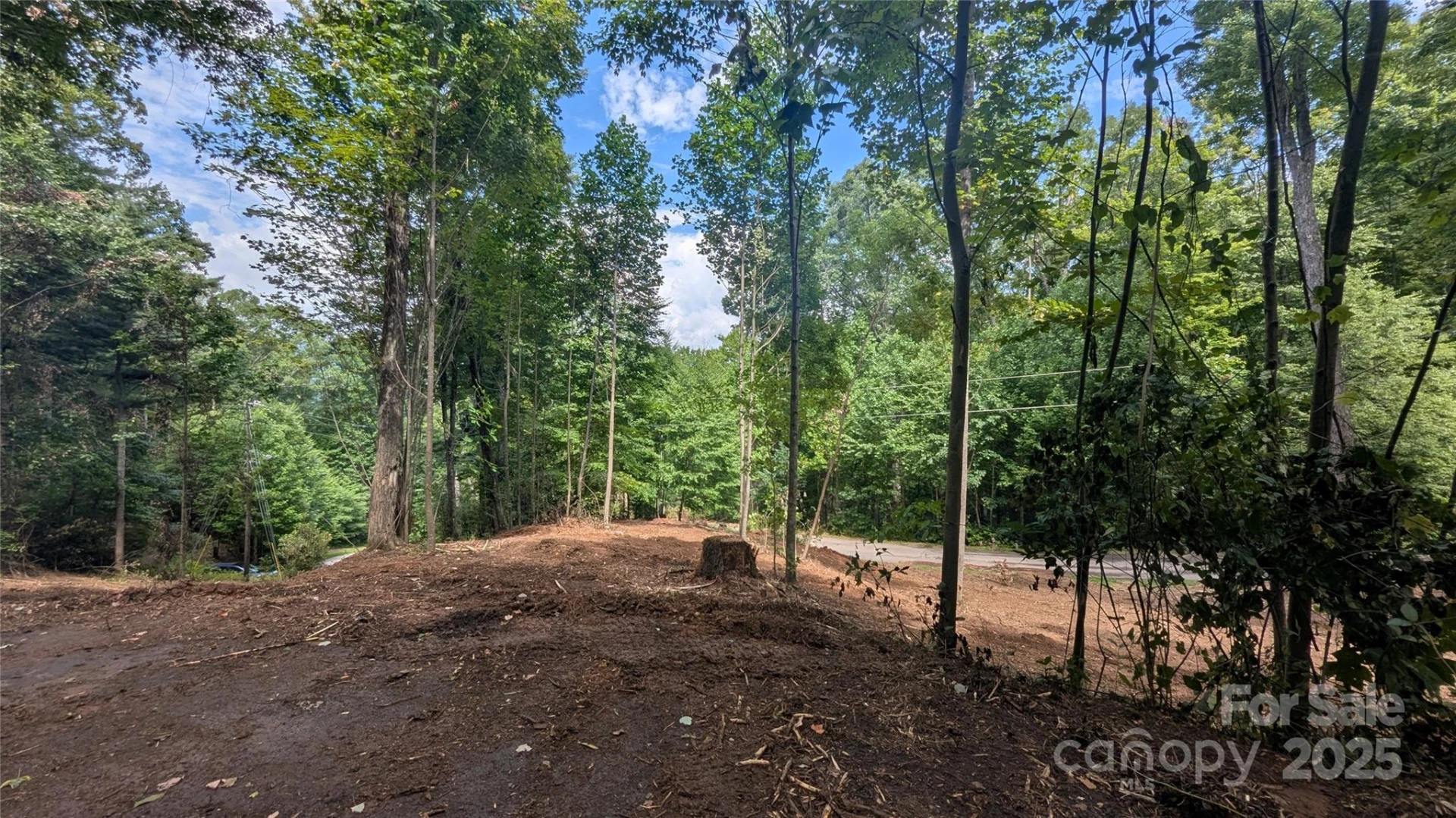 00 Apple Tree Court #1 - Photo 9
