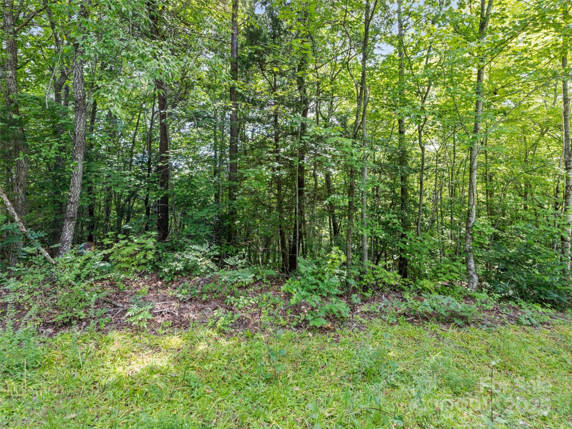 Lot #46 Hazel Hollow Drive - Photo 11