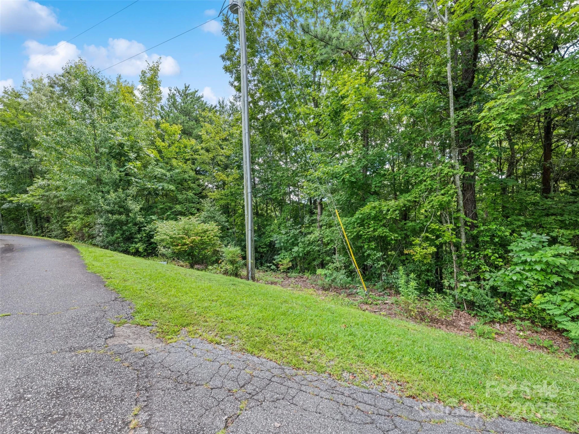 Lot #46 Hazel Hollow Drive - Photo 12