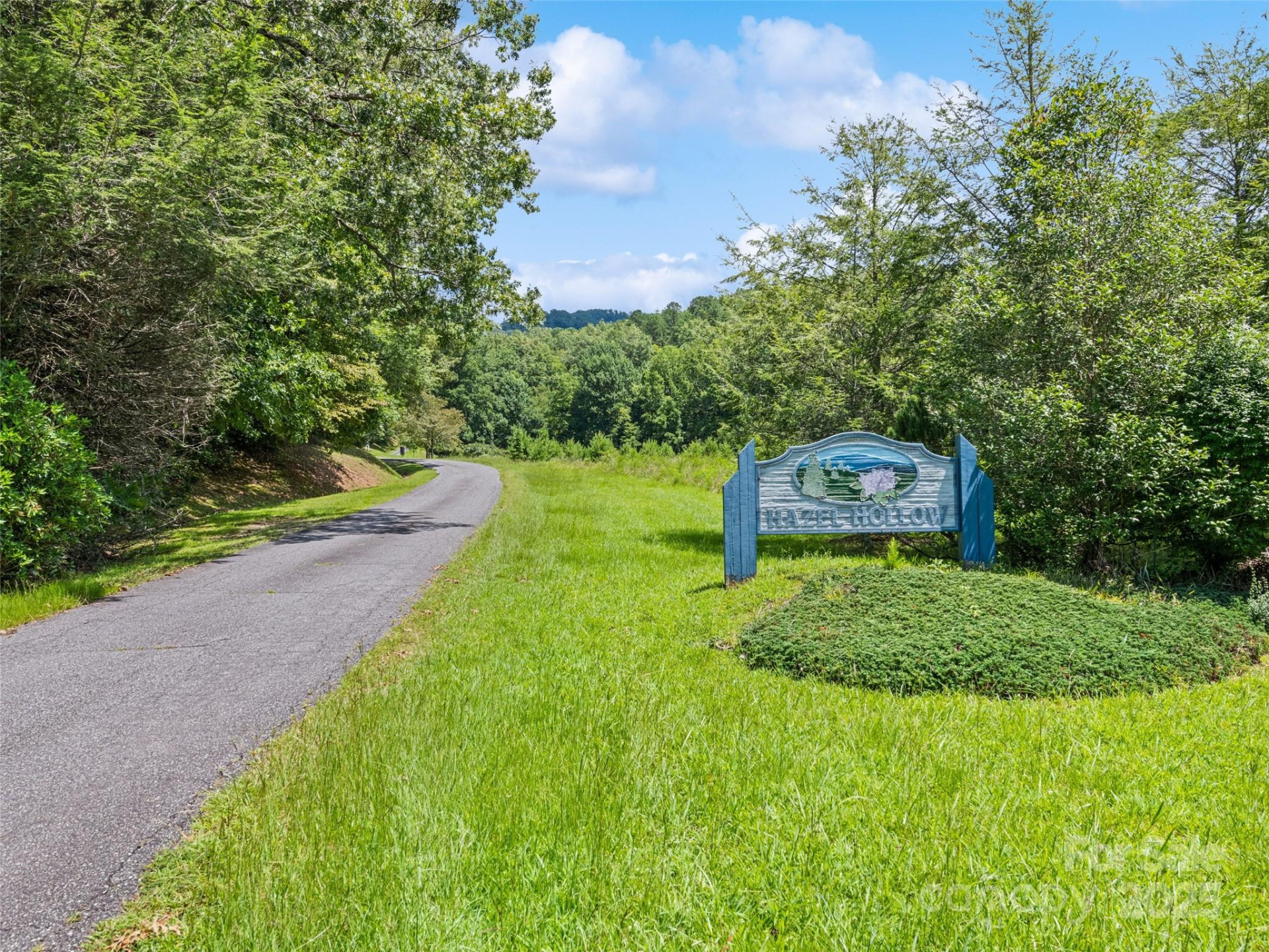 Lot #46 Hazel Hollow Drive - Photo 13