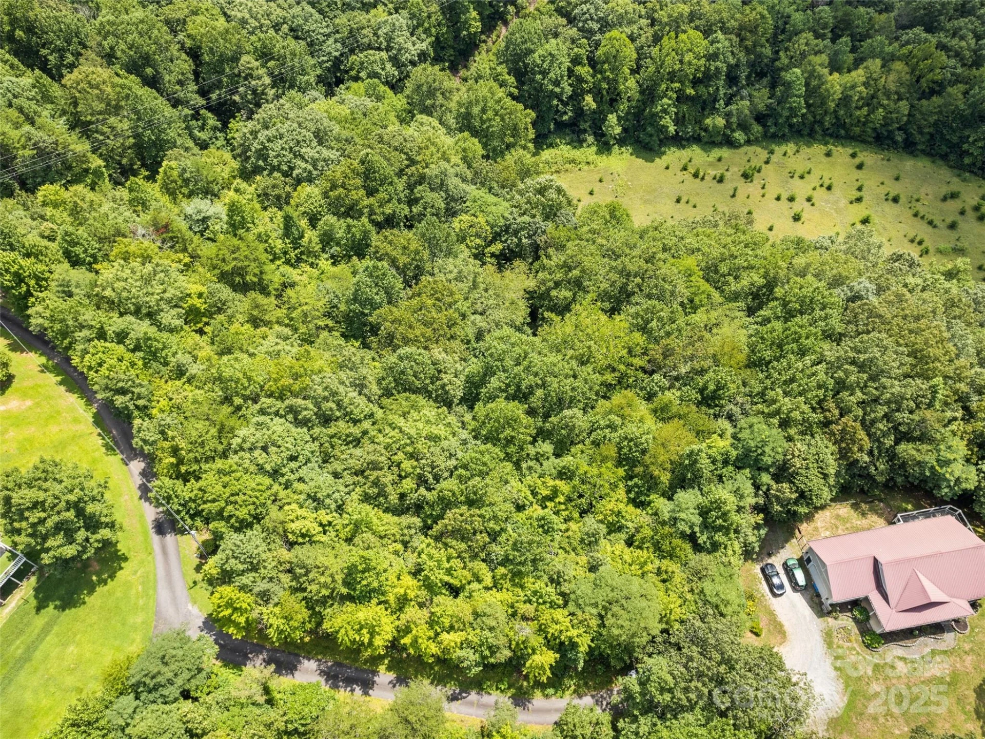 Lot #46 Hazel Hollow Drive - Photo 3