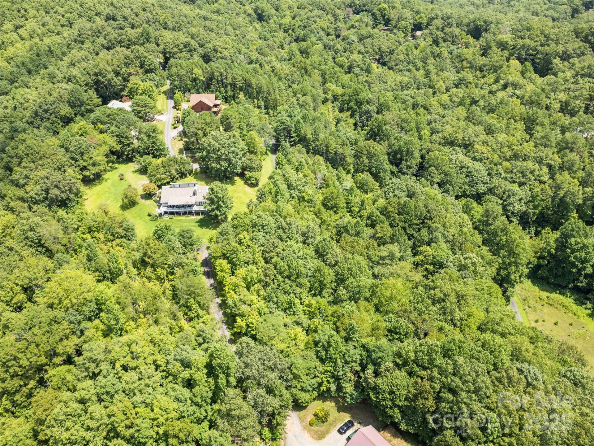Lot #46 Hazel Hollow Drive - Photo 4