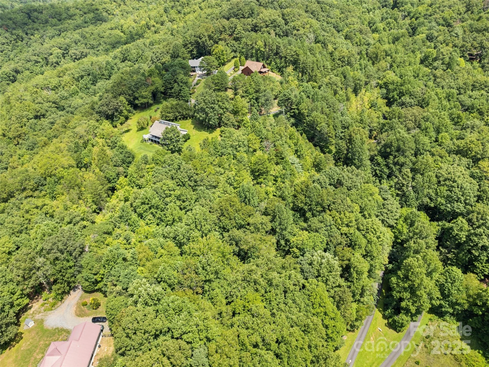 Lot #46 Hazel Hollow Drive - Photo 5