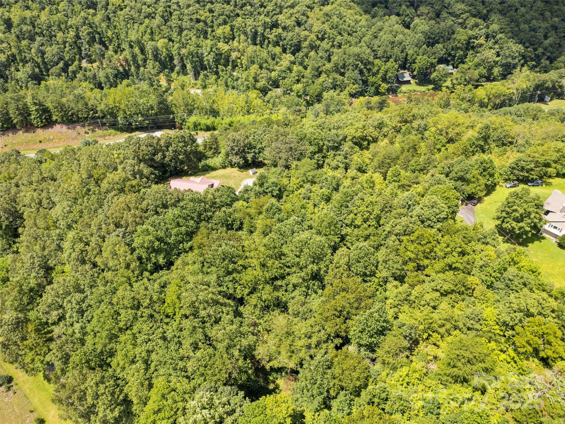 Lot #46 Hazel Hollow Drive - Photo 7