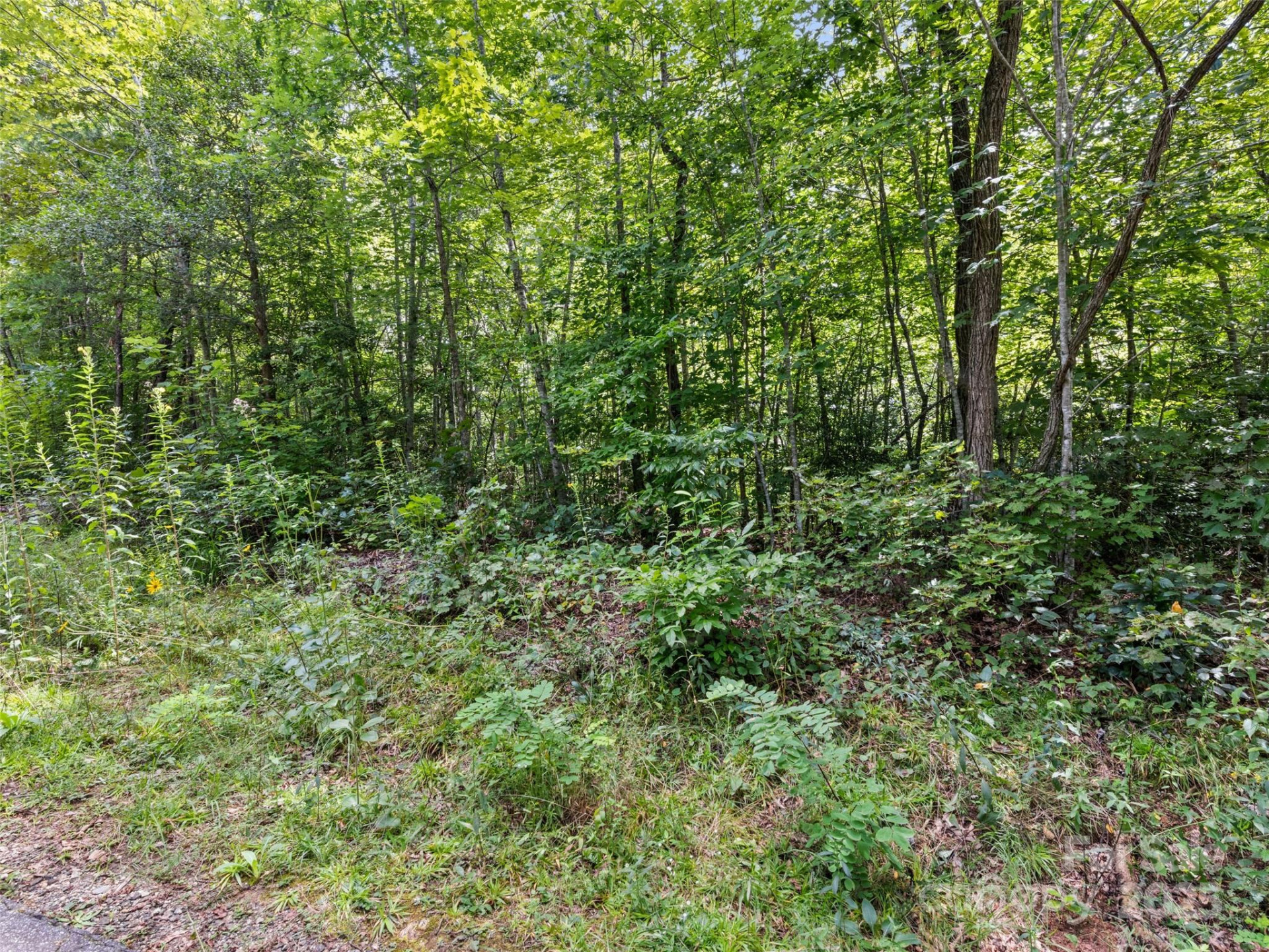 Lot #46 Hazel Hollow Drive - Photo 9