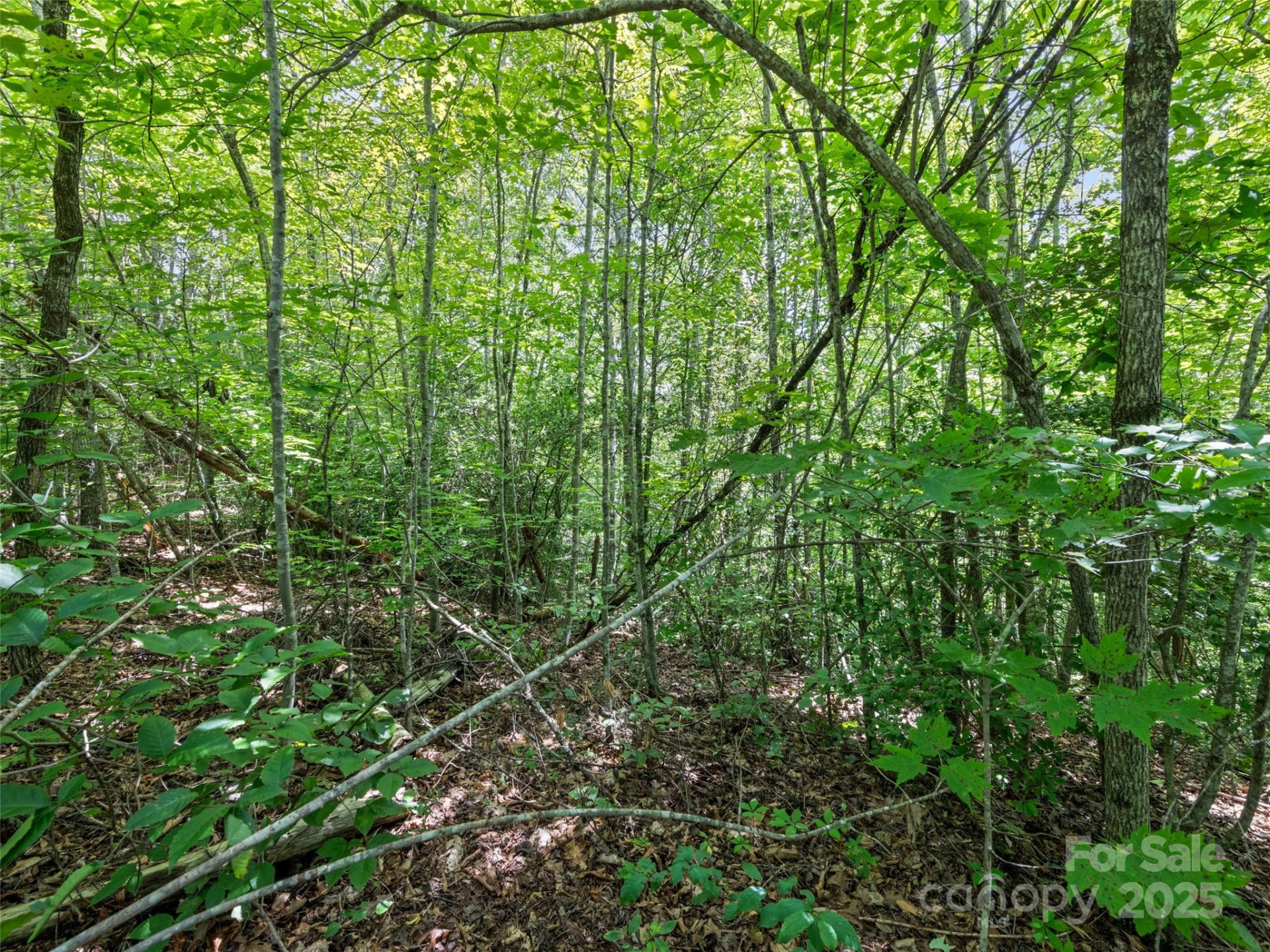 Lot #46 Hazel Hollow Drive - Photo 10