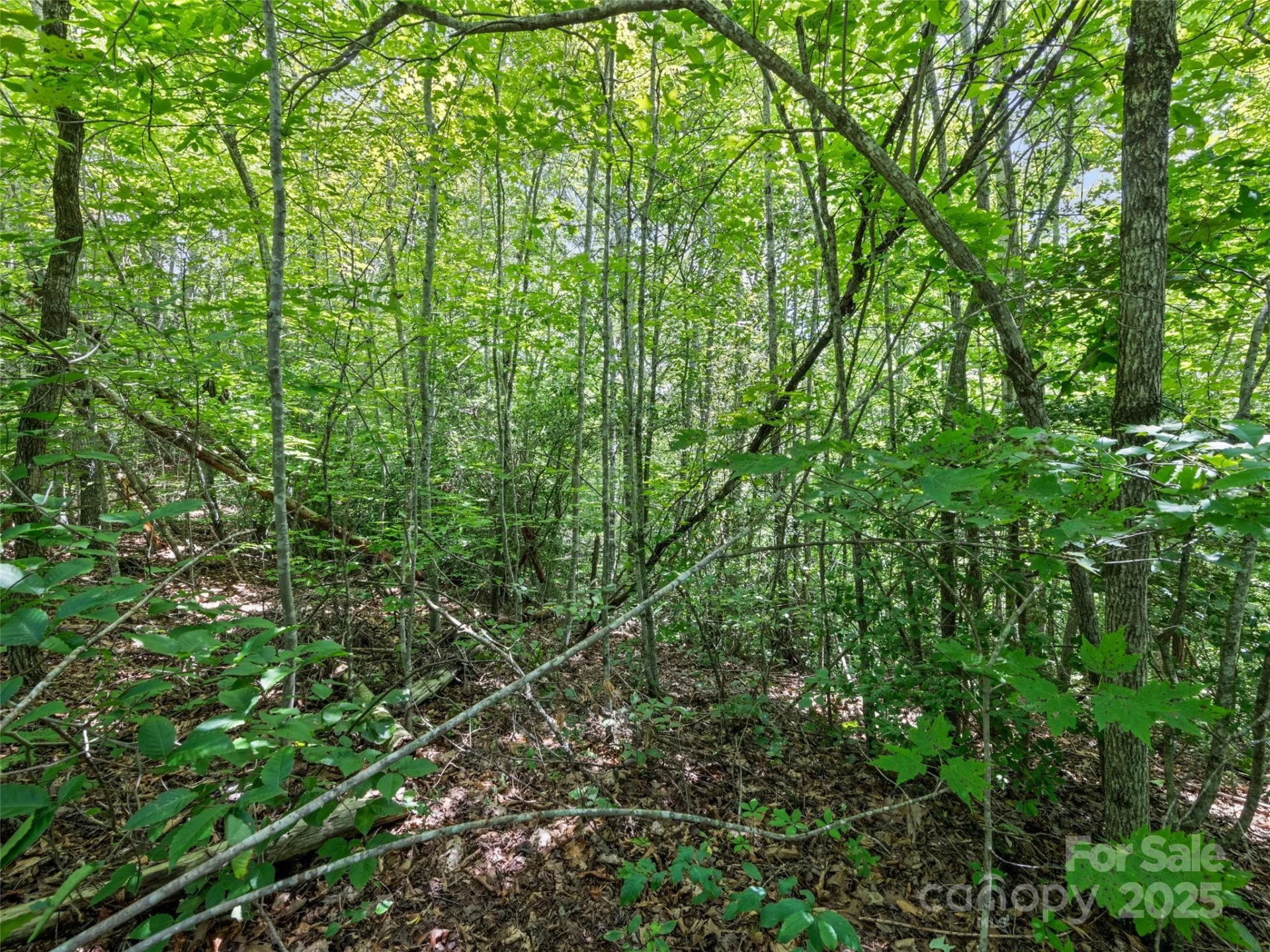 Lot #46 Hazel Hollow Drive - Photo 10