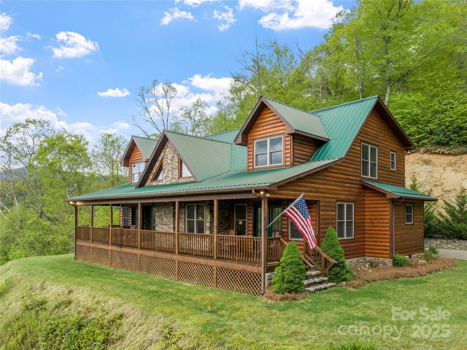 370 Appaloosa Trail - Photo 3