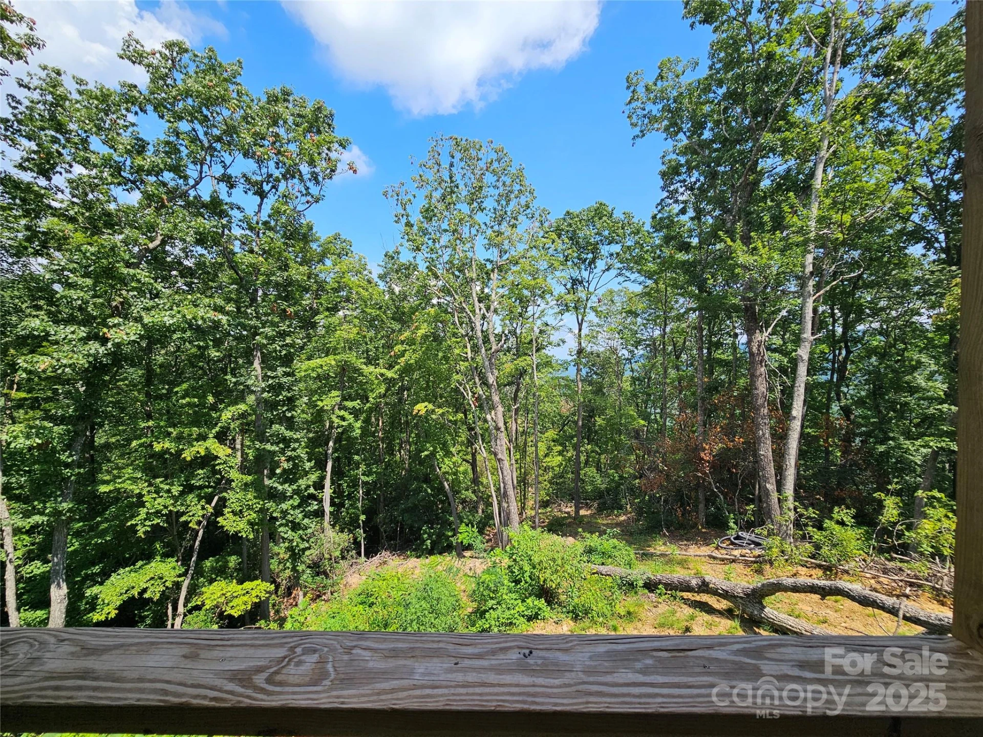266 Potomac Falls Drive - Photo 35